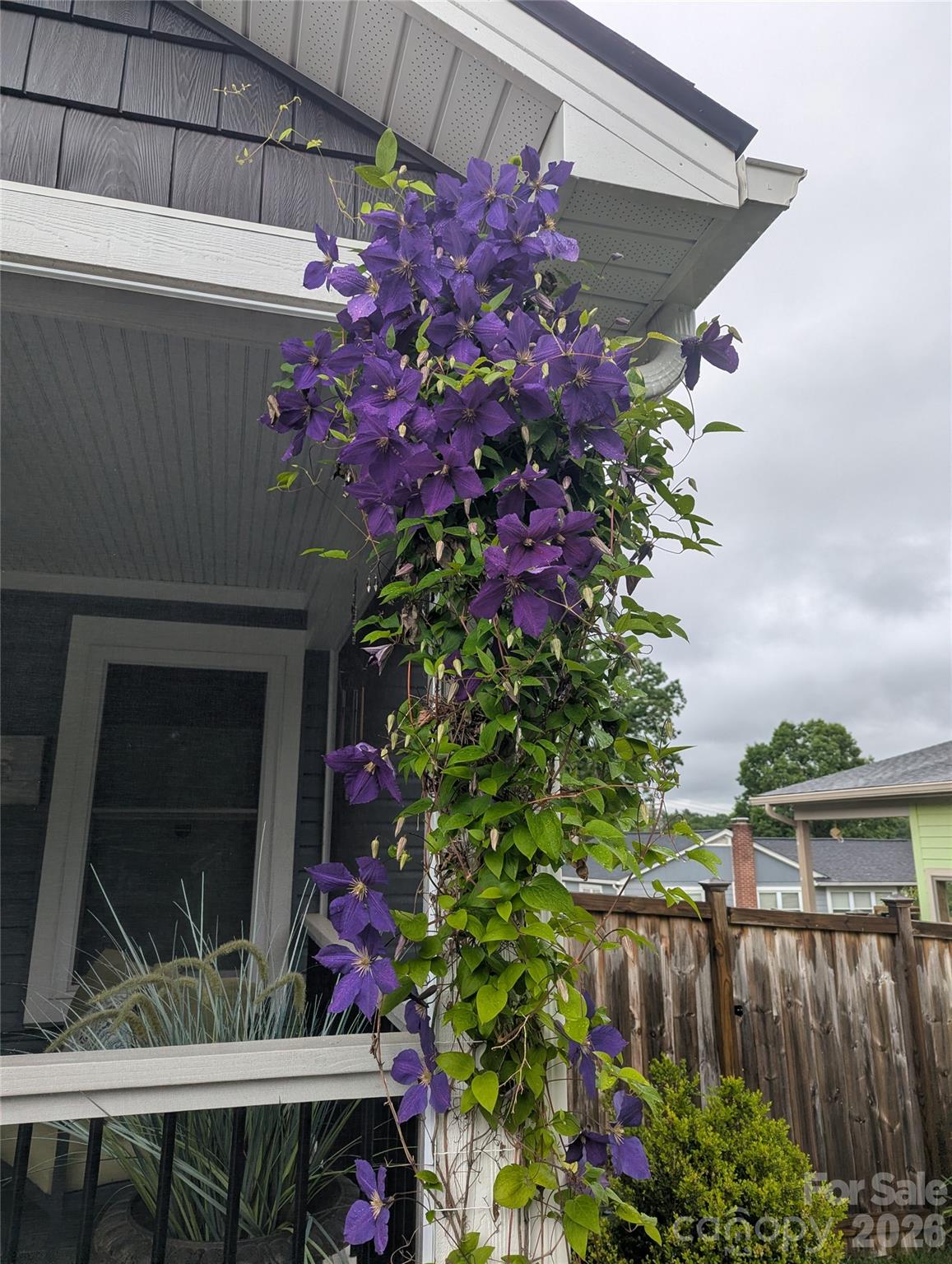 482 Booker Street — Asheville