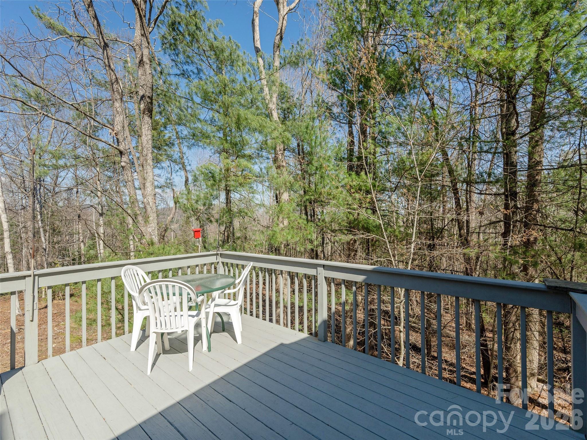 206 Black Oak Lane — Hendersonville