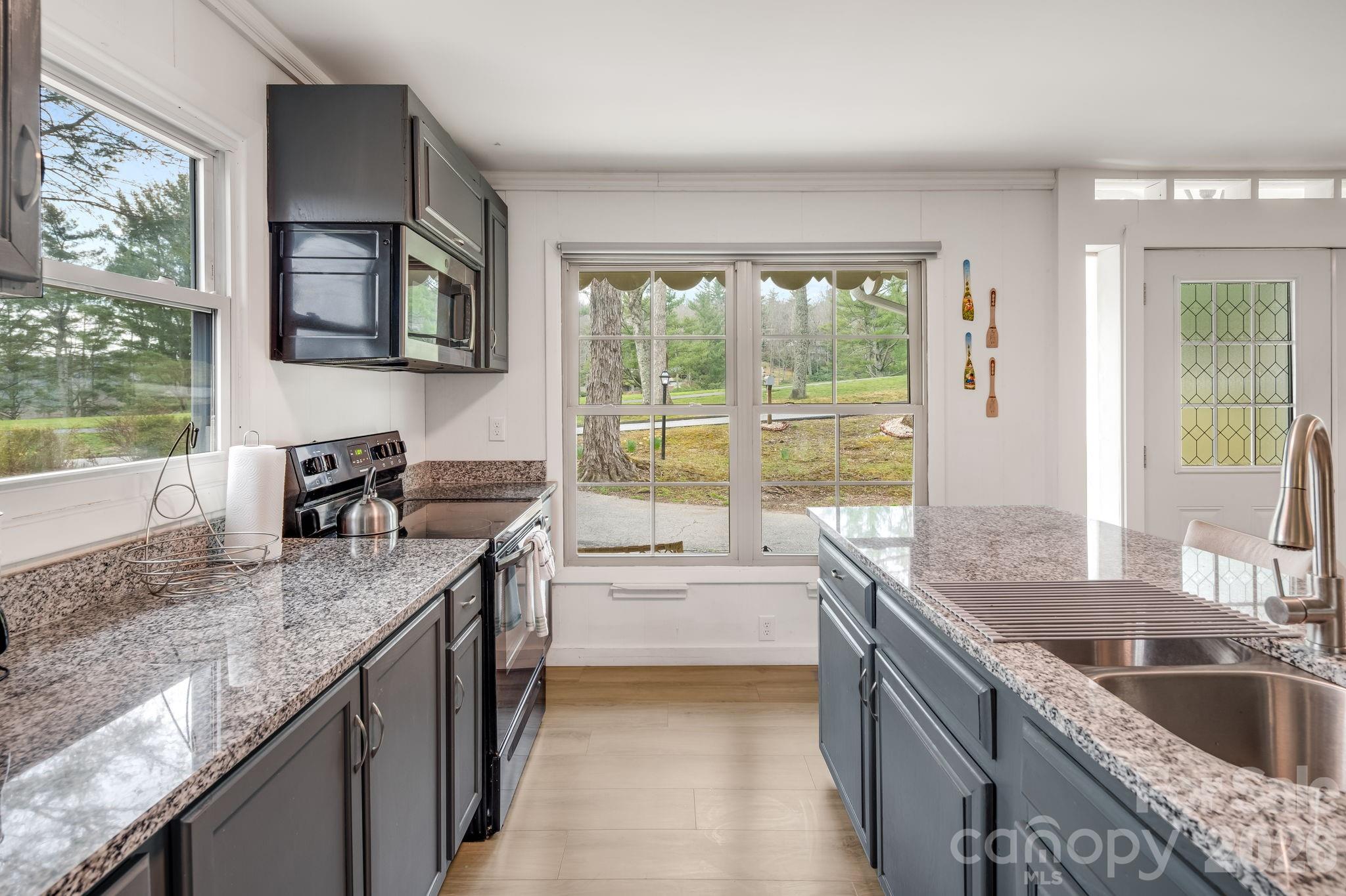 2203 Swiss Pine Lake Drive — Spruce Pine