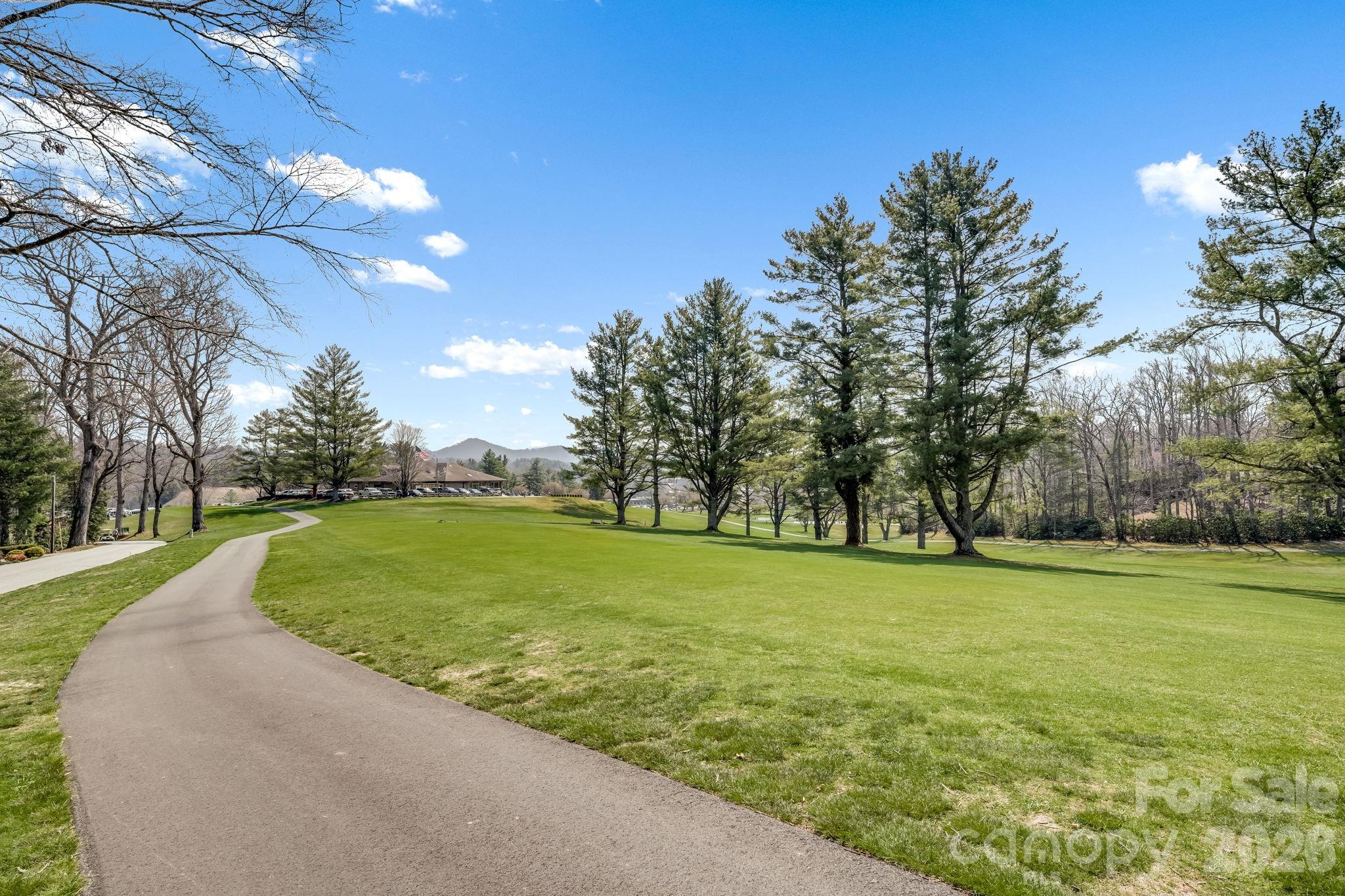 2203 Swiss Pine Lake Drive — Spruce Pine