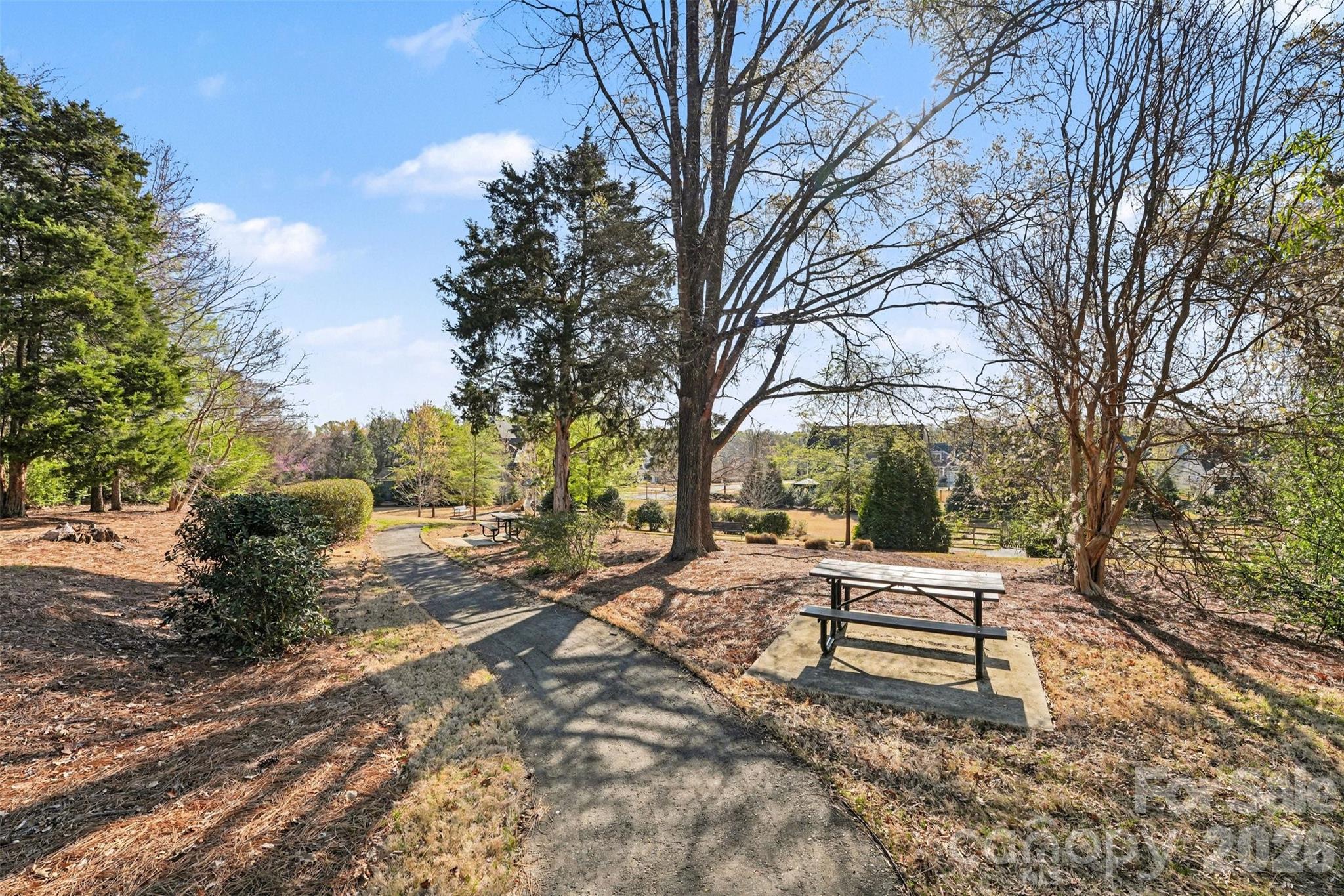 12409 Cranberry Glades Drive — Cornelius