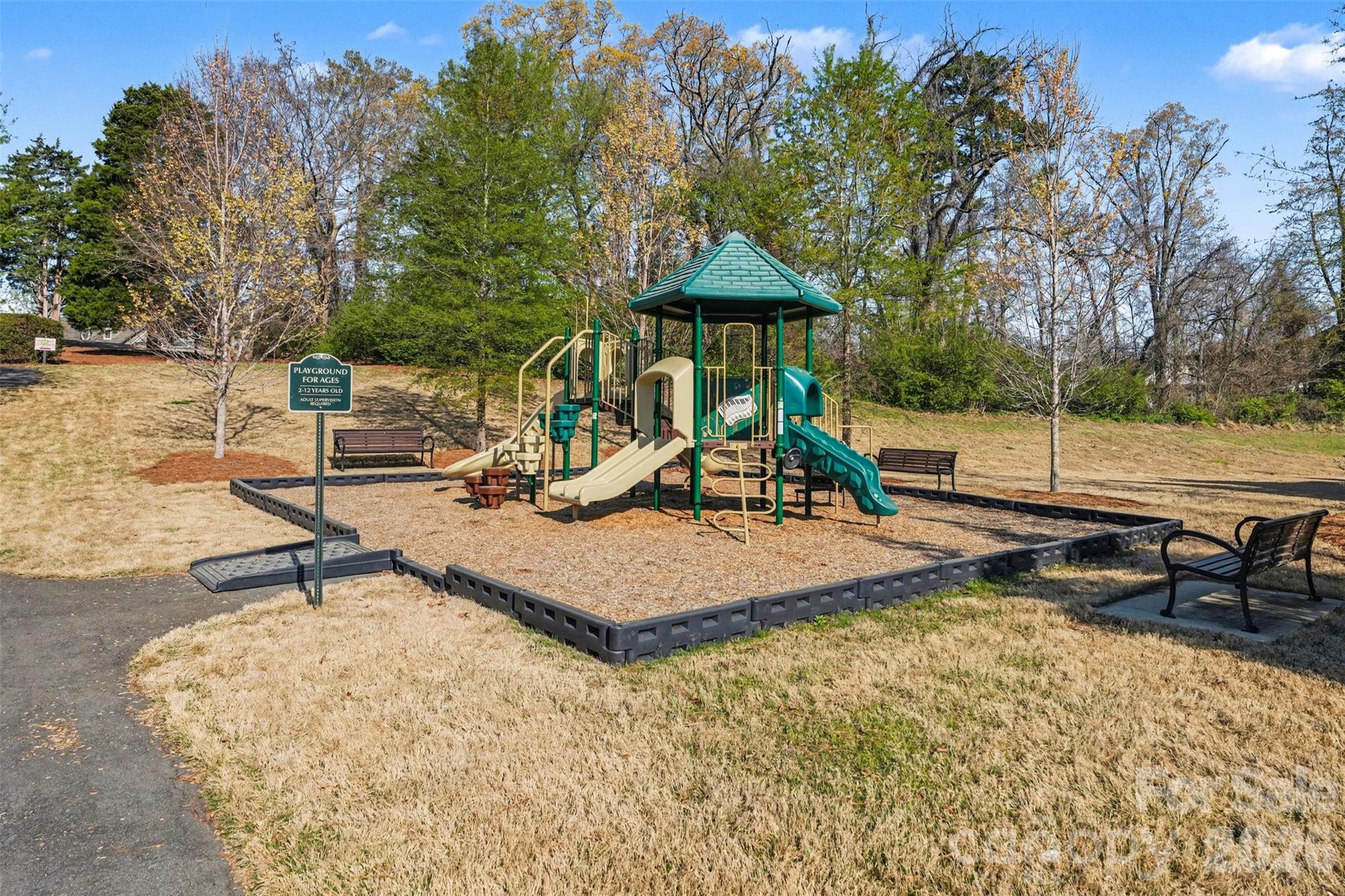 12409 Cranberry Glades Drive — Cornelius
