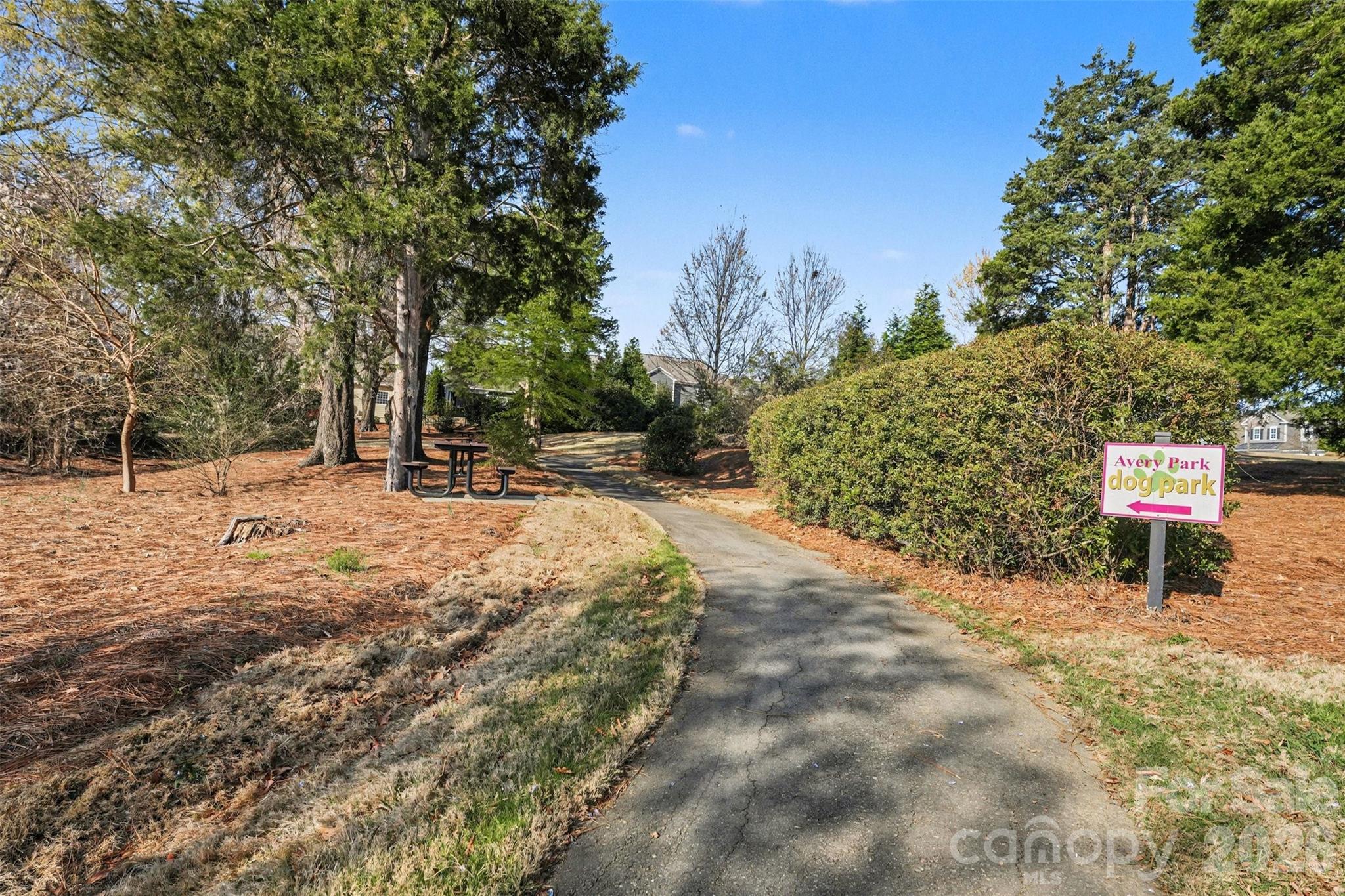 12409 Cranberry Glades Drive — Cornelius