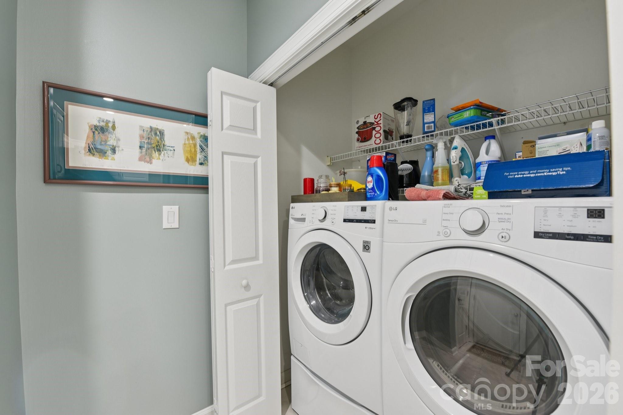 10816 Willow Crossing Drive — Charlotte