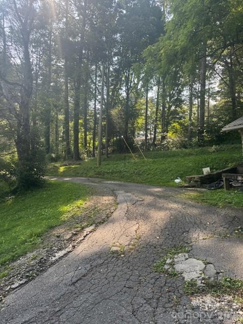 57 Twin Ponds Lane — Hendersonville