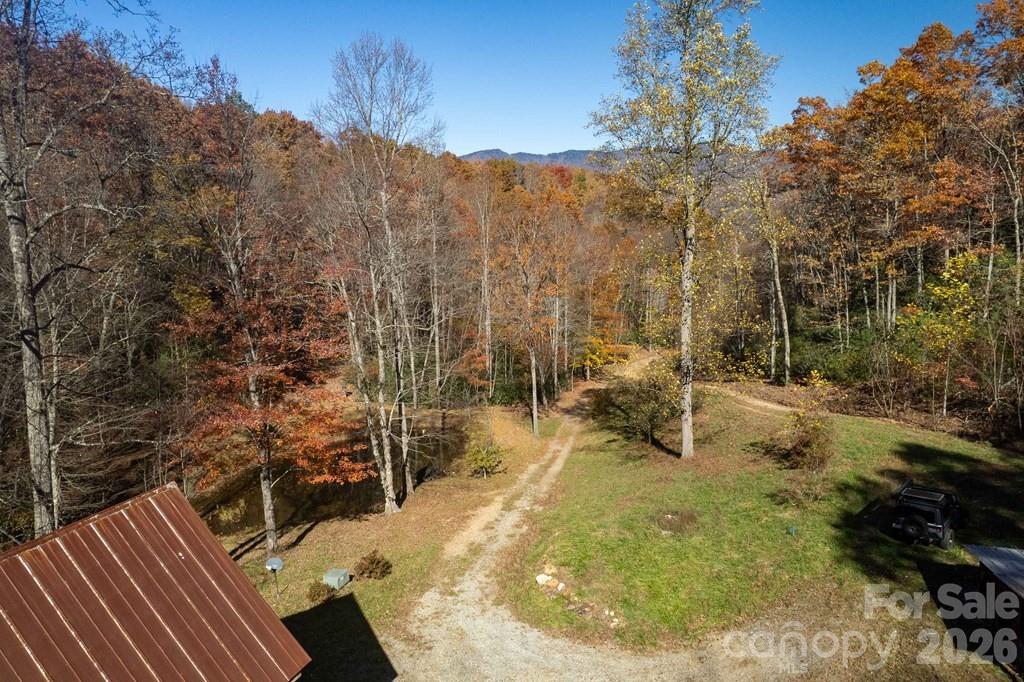 930 Copperhead Cove — Sylva