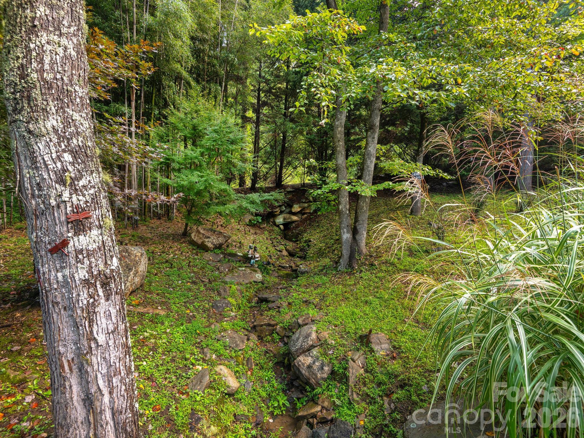 420 Chimney Rock Drive — Weaverville