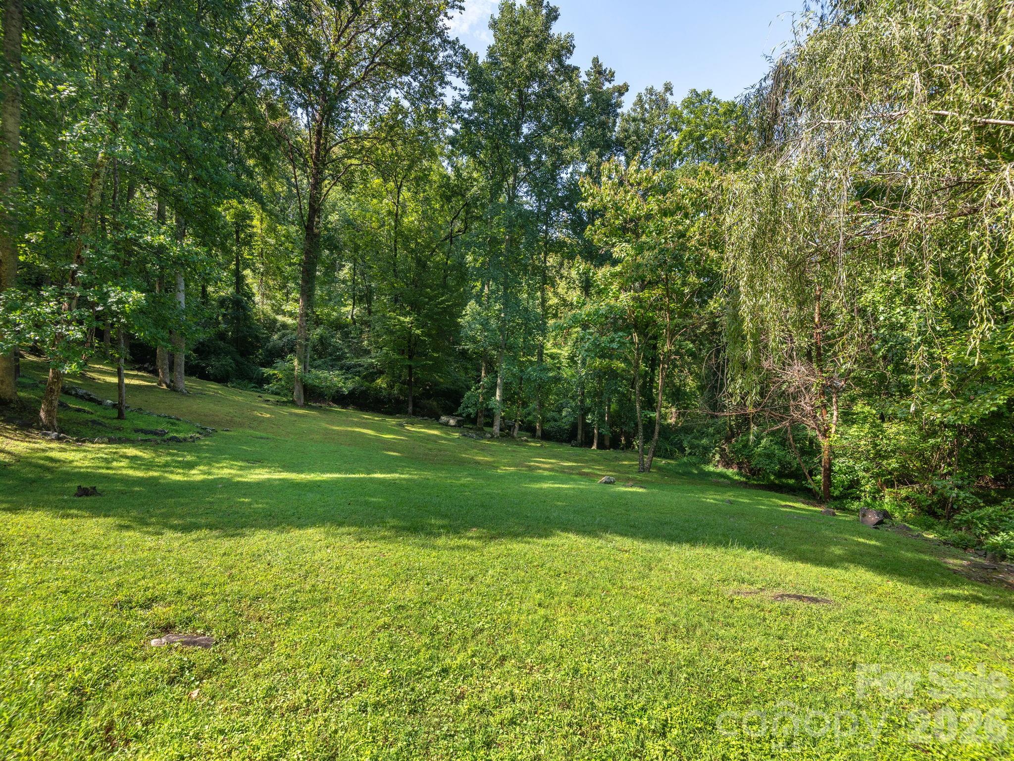 420 Chimney Rock Drive — Weaverville