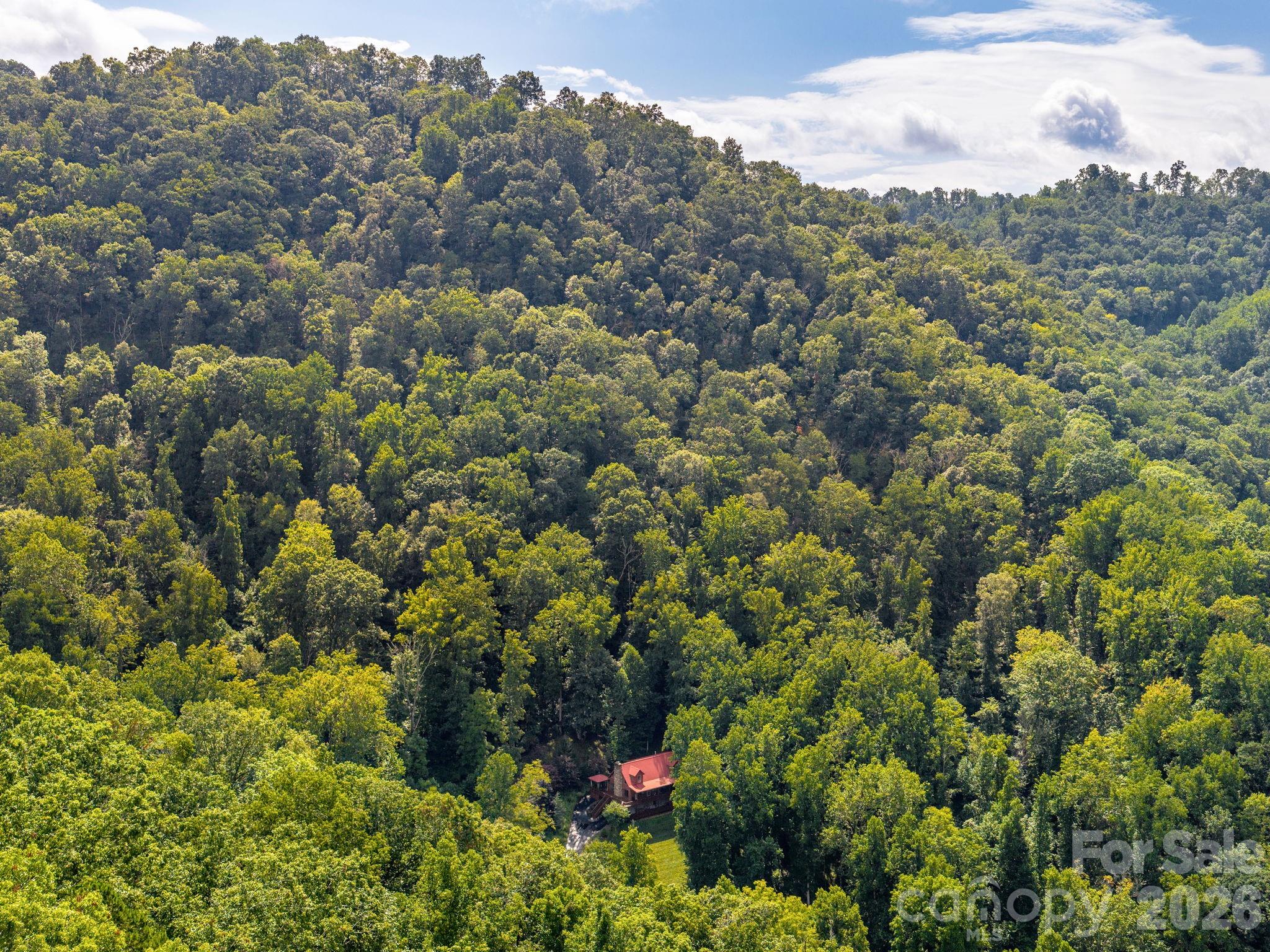 420 Chimney Rock Drive — Weaverville