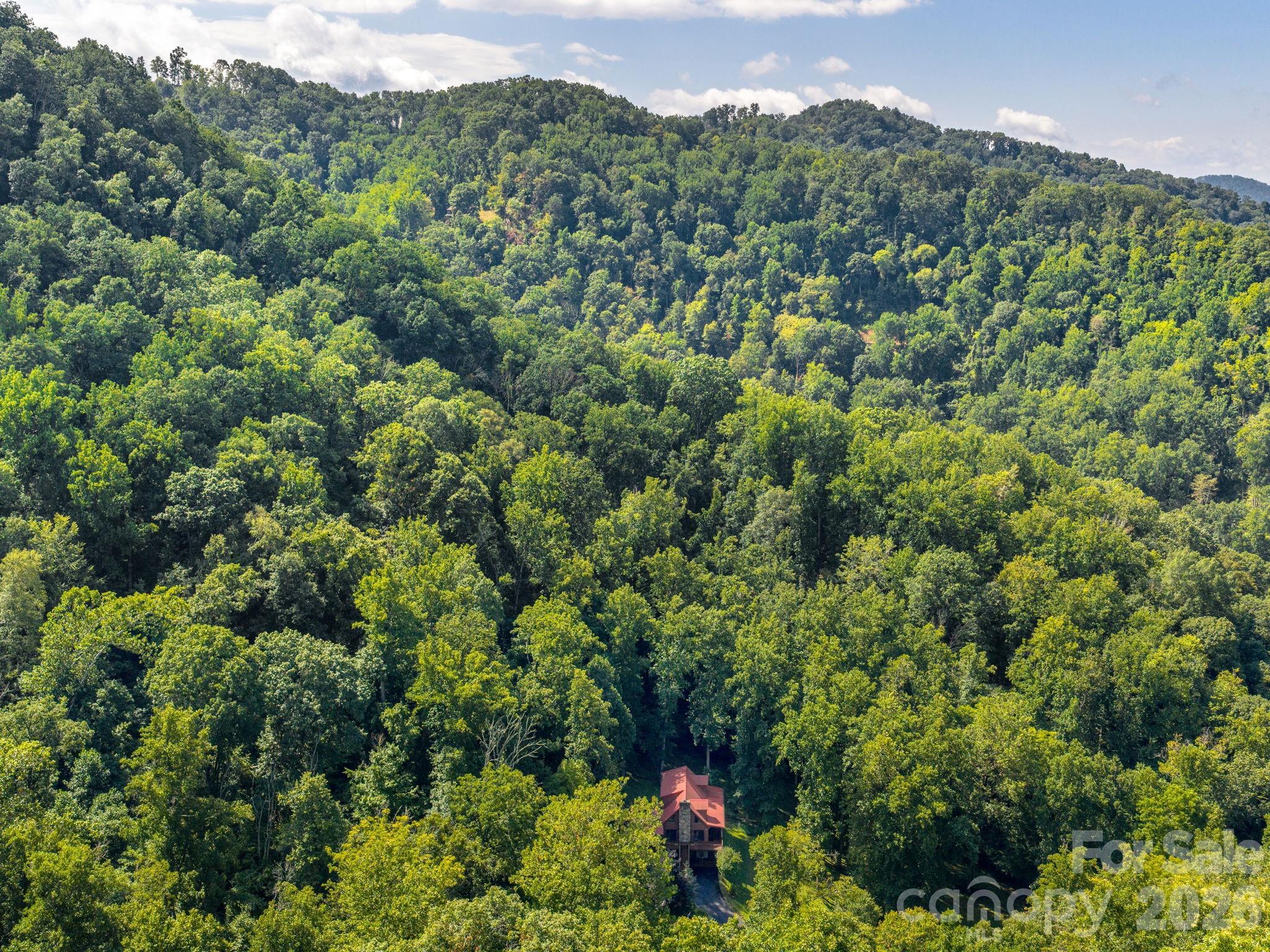 420 Chimney Rock Drive — Weaverville