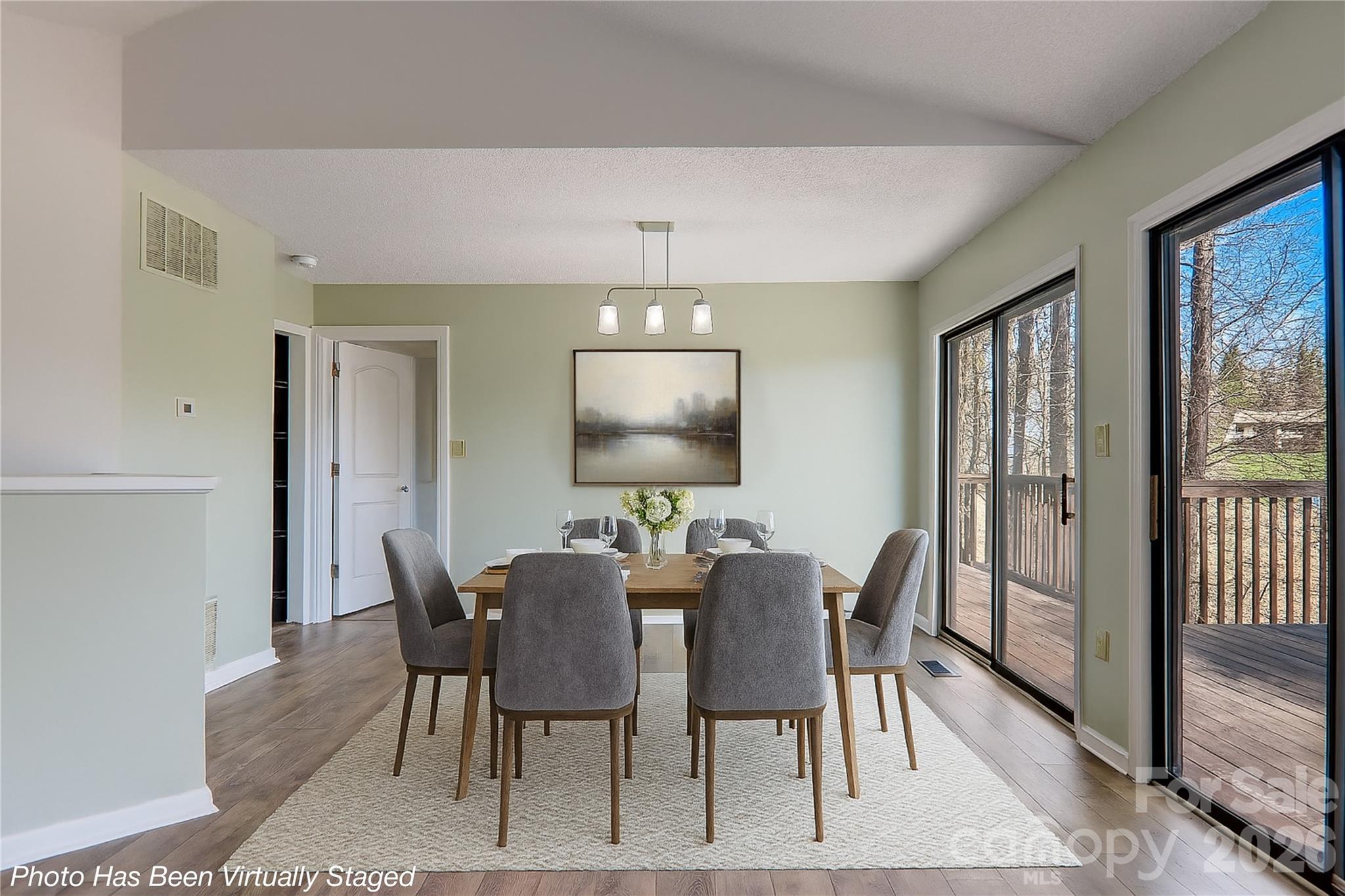 225 Sheepnose Drive — Lake Lure
