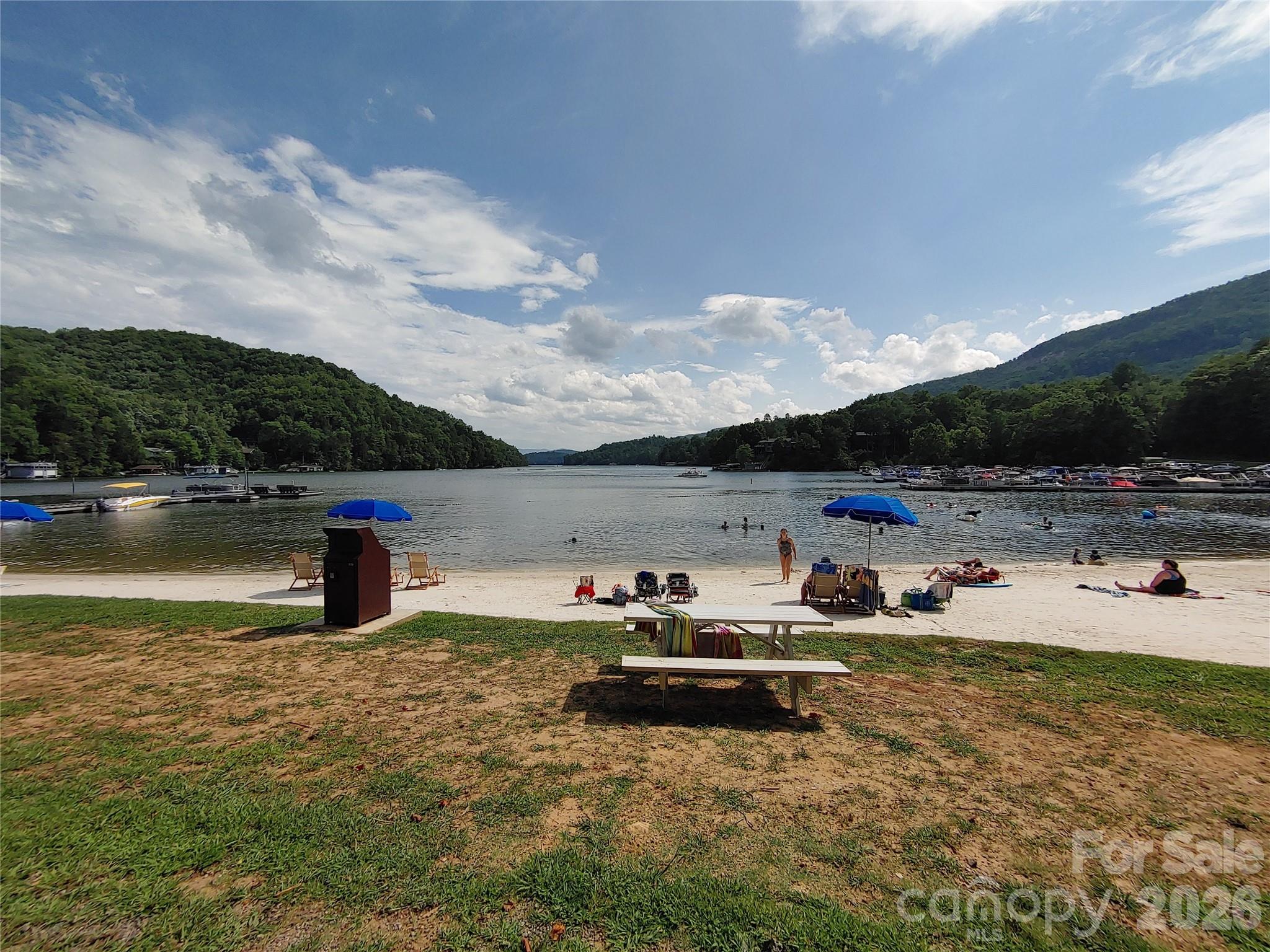 225 Sheepnose Drive — Lake Lure