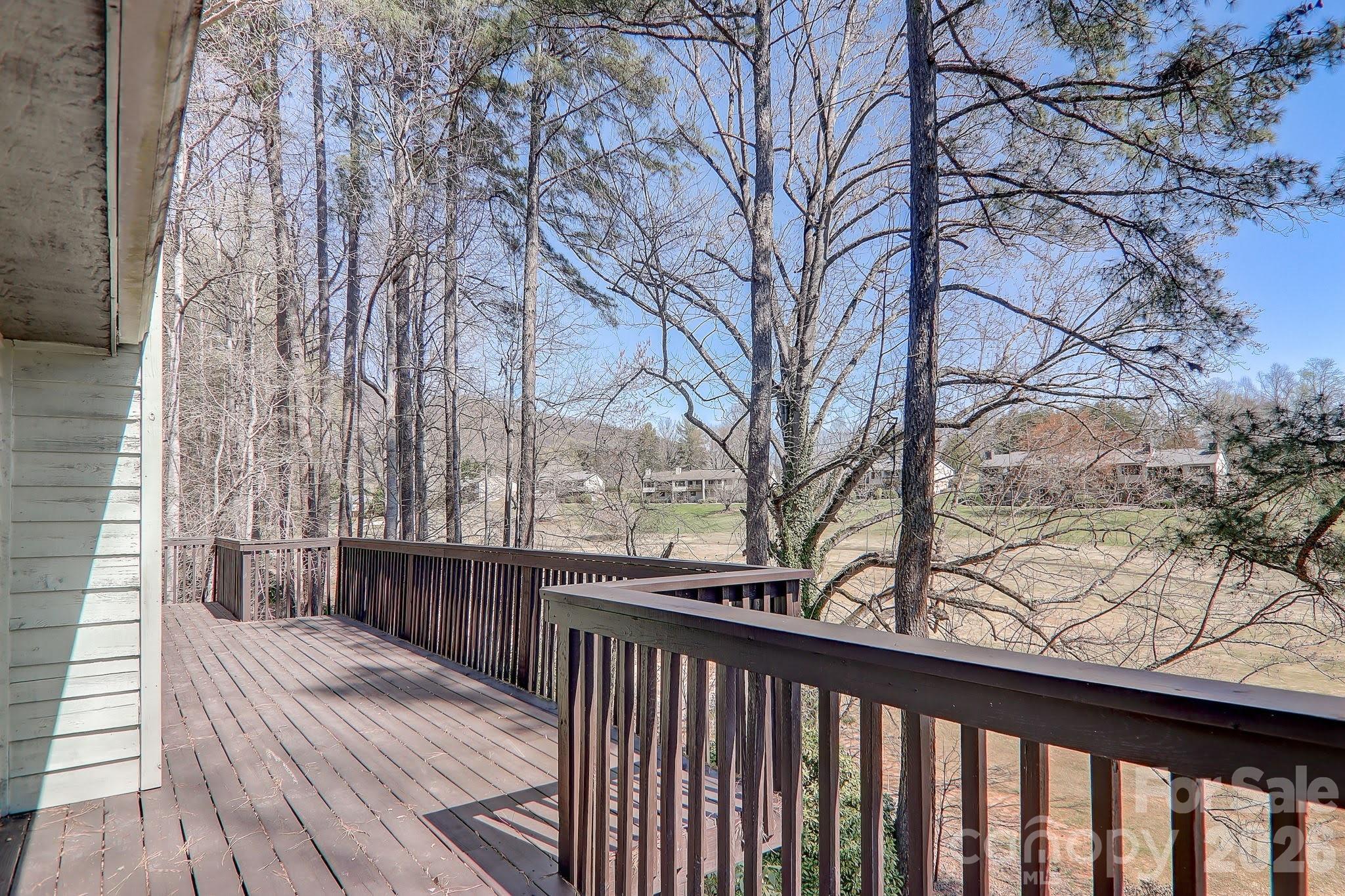 225 Sheepnose Drive — Lake Lure