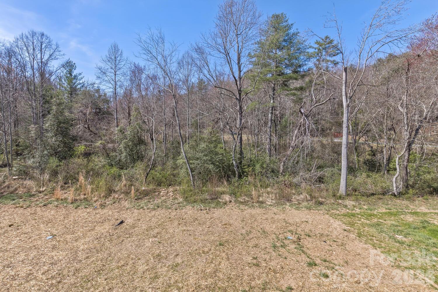 231 EDGEWOOD Road S #5 — Asheville