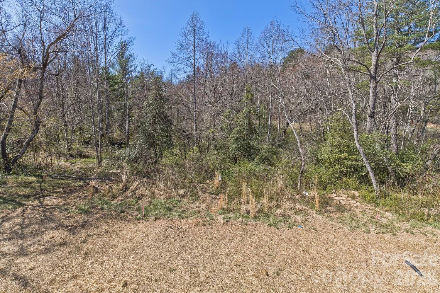 233 EDGEWOOD Road S — Asheville