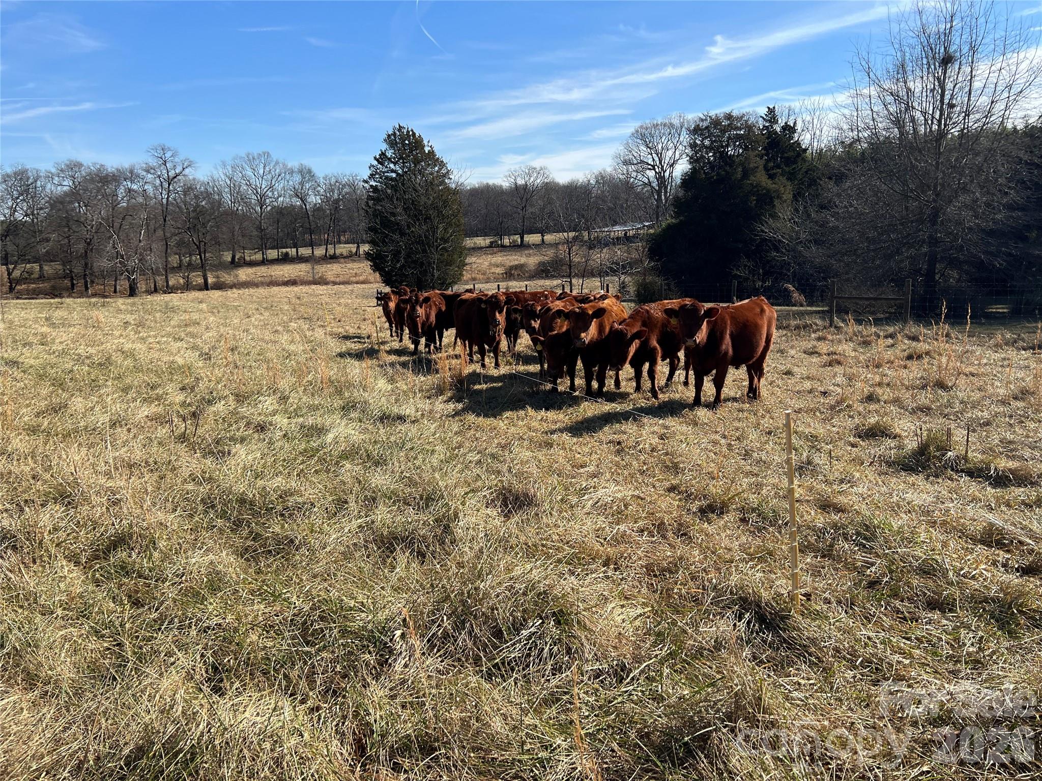 328 Davidson Court — Taylorsville