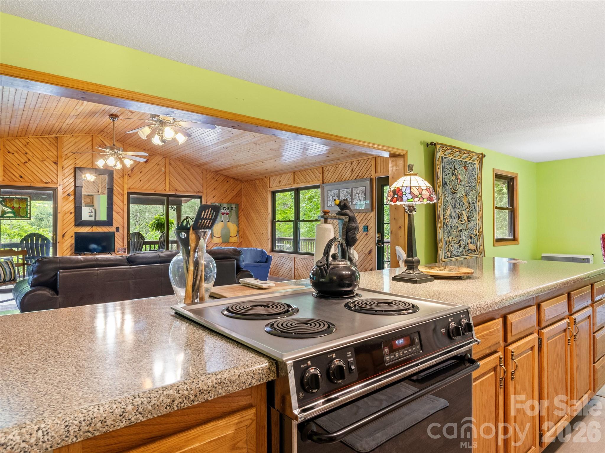 170 Mountain Farm Road — Burnsville
