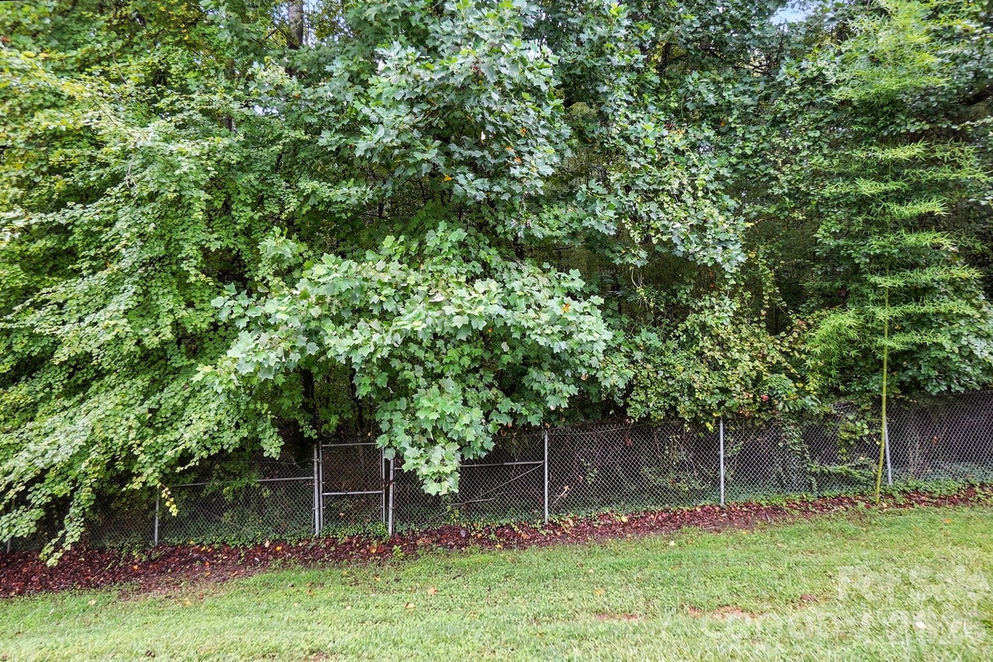 1101 Surry Lane — Gastonia