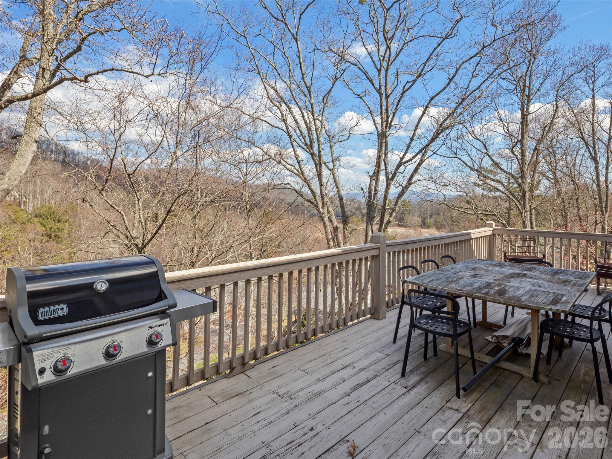 109 Poppy Lane — Asheville