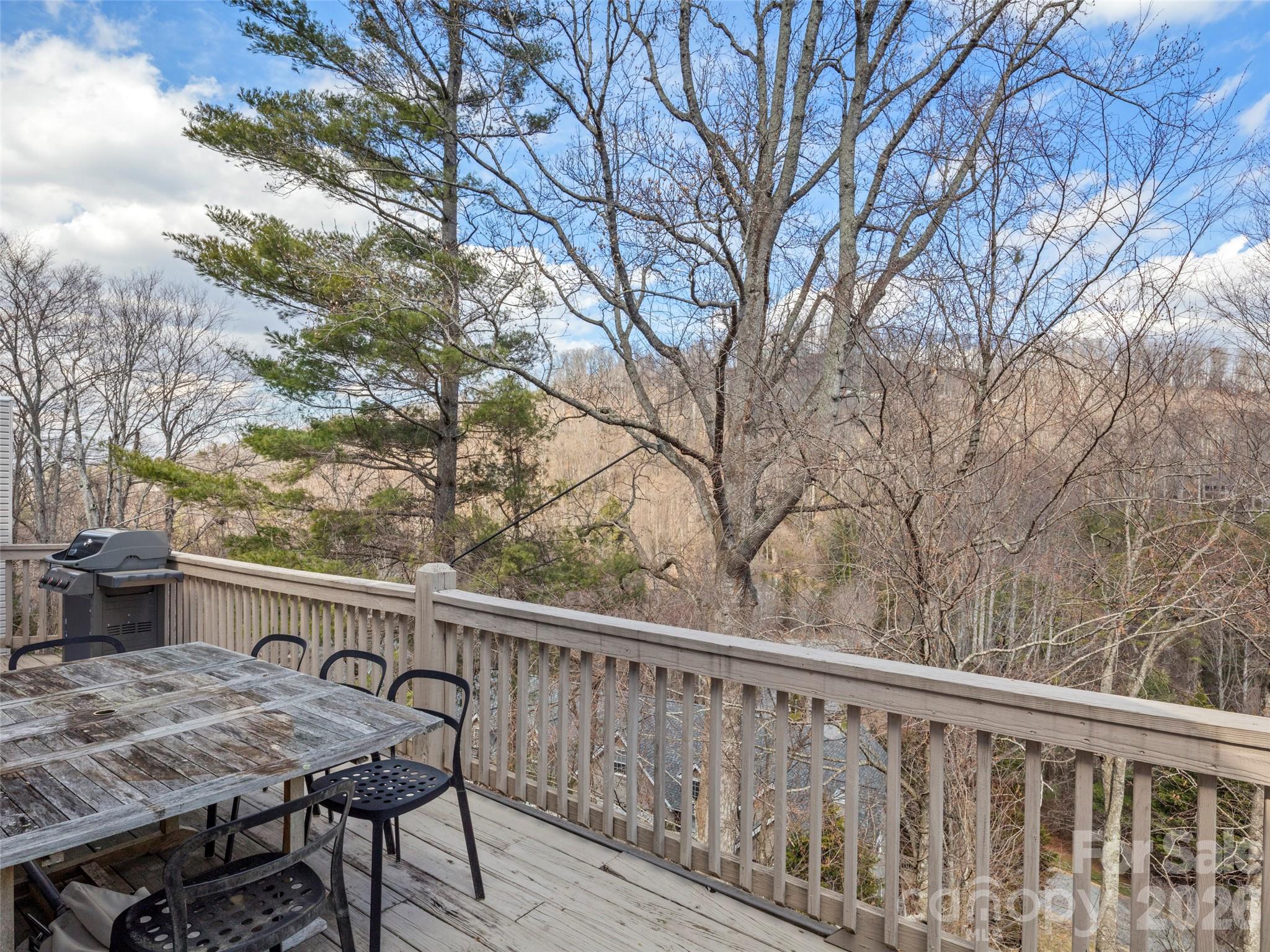 109 Poppy Lane — Asheville