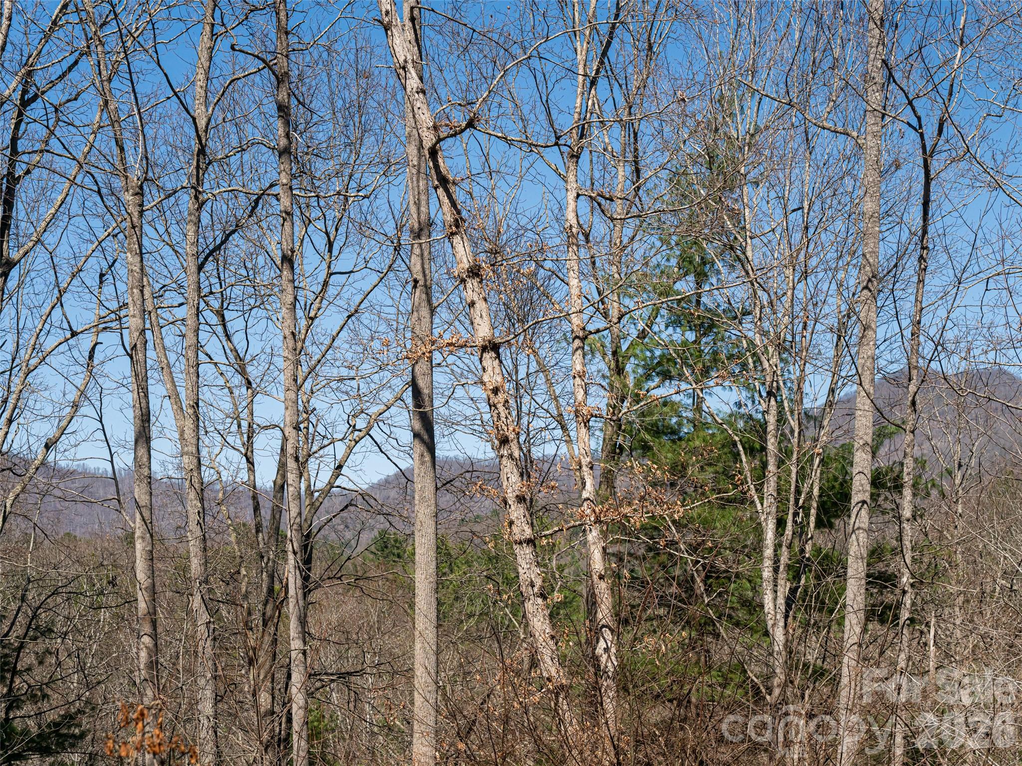 39 Oak Hollow Drive #23 — Asheville