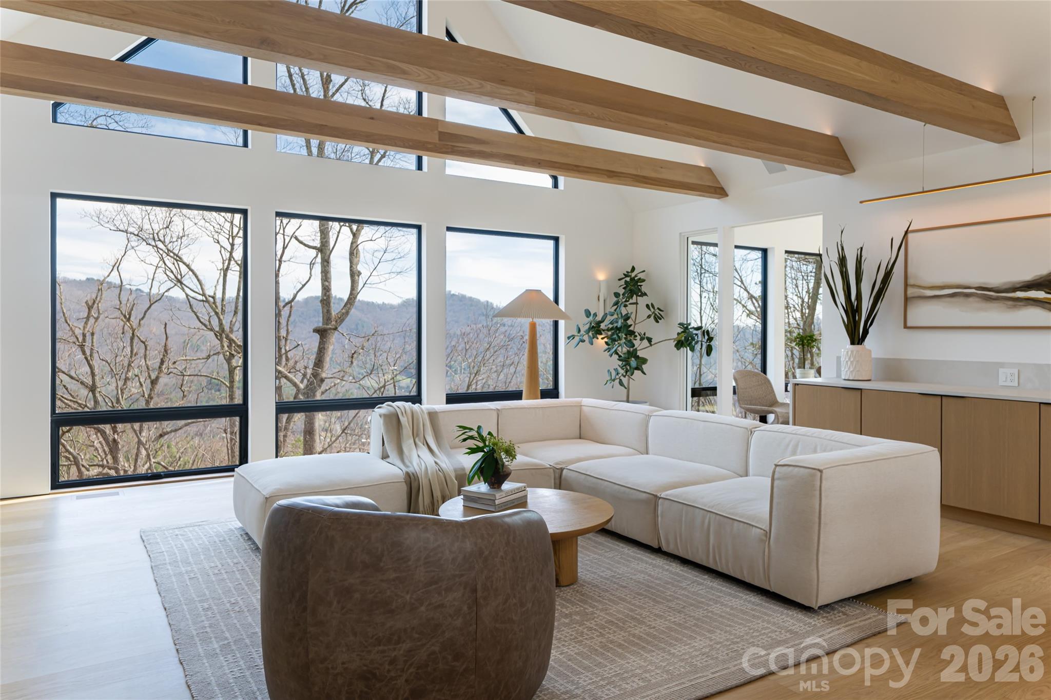 86 Rambling Ridge Road — Asheville