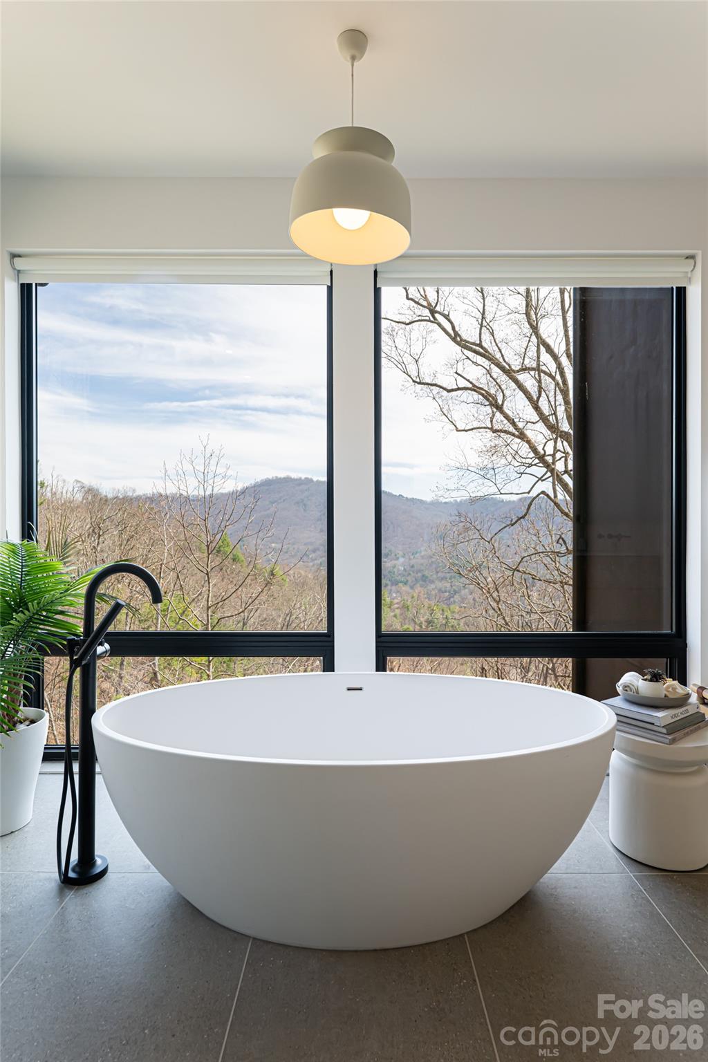 86 Rambling Ridge Road — Asheville