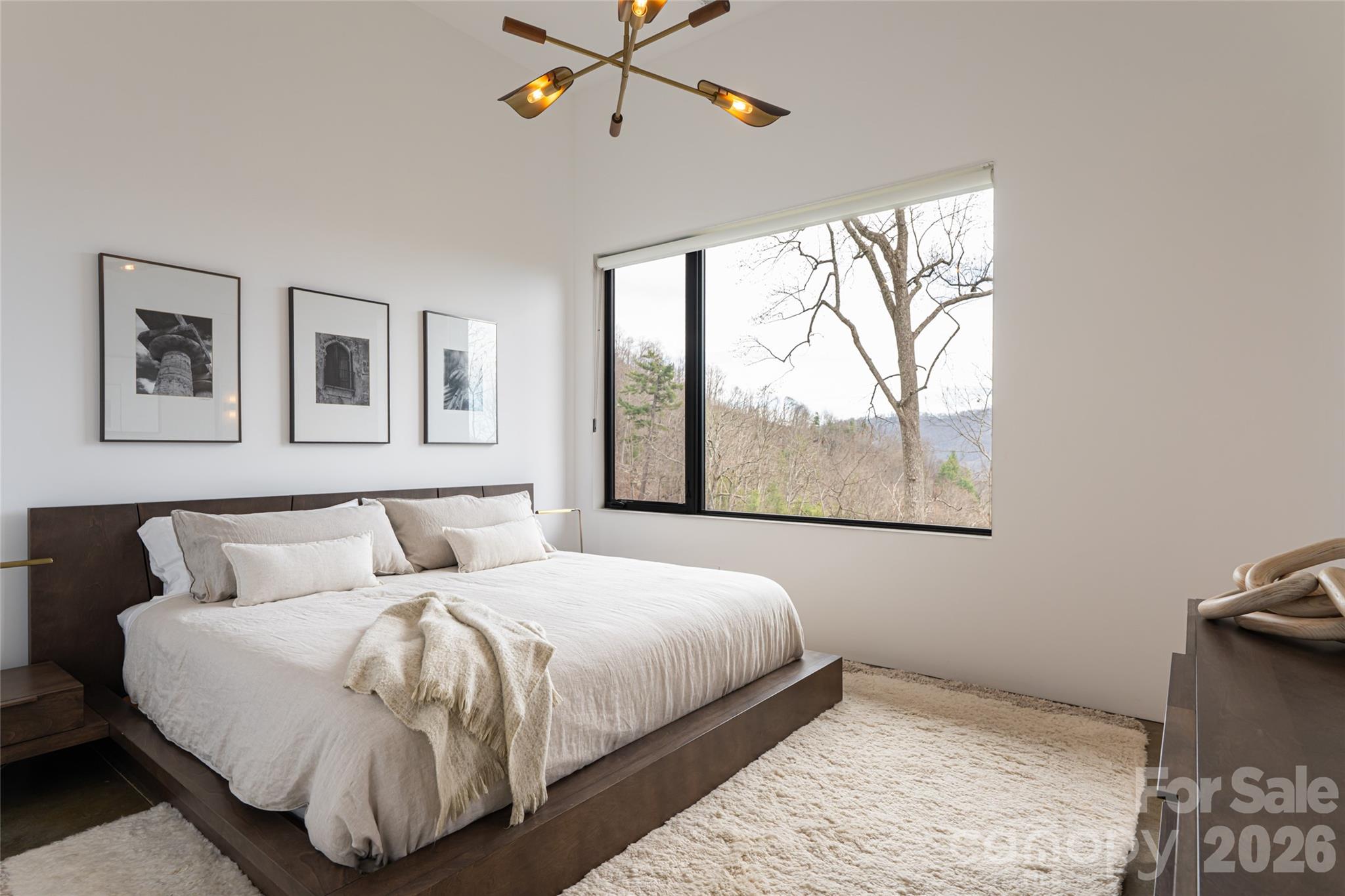 86 Rambling Ridge Road — Asheville