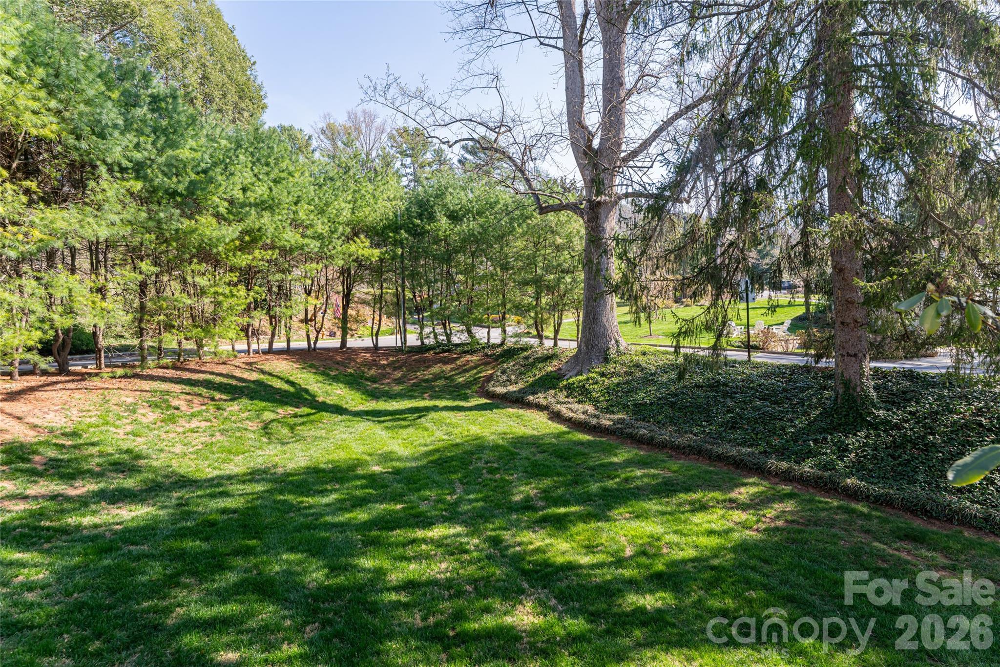 25 Blackwood Road — Asheville