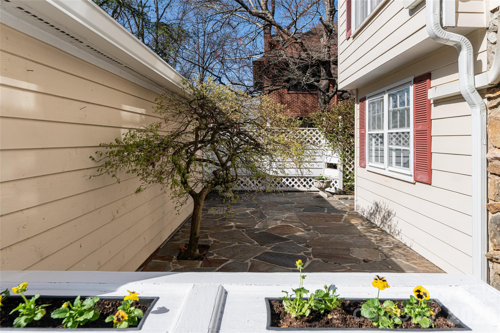25 Blackwood Road — Asheville