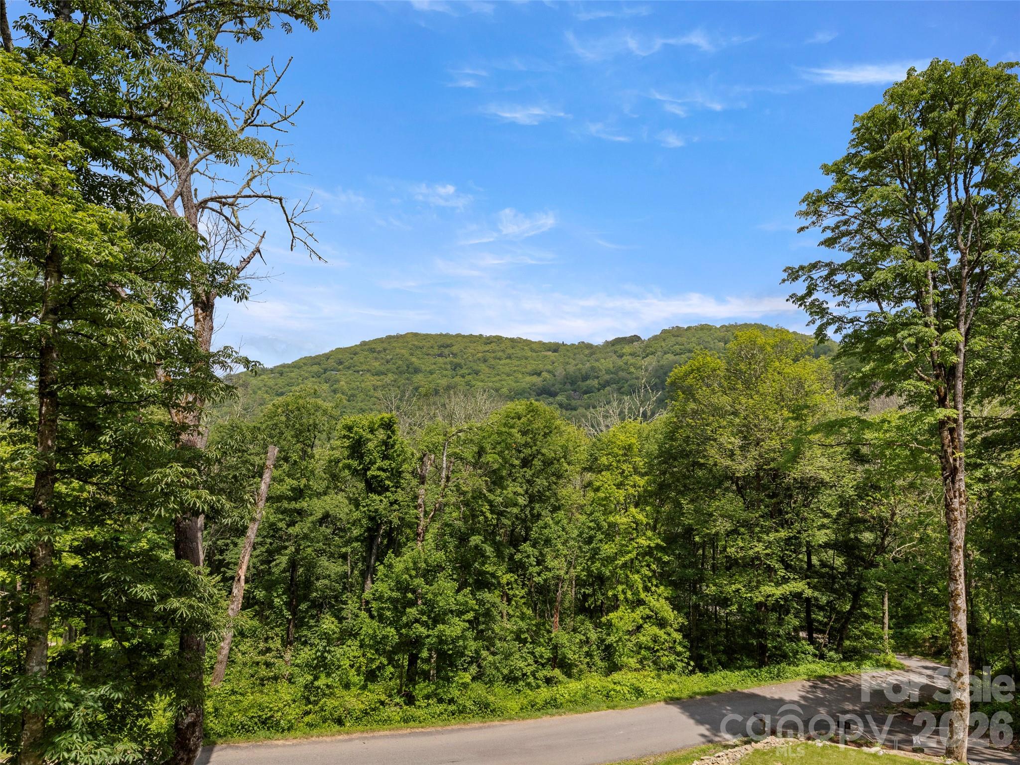 85 Iga Trail — Maggie Valley
