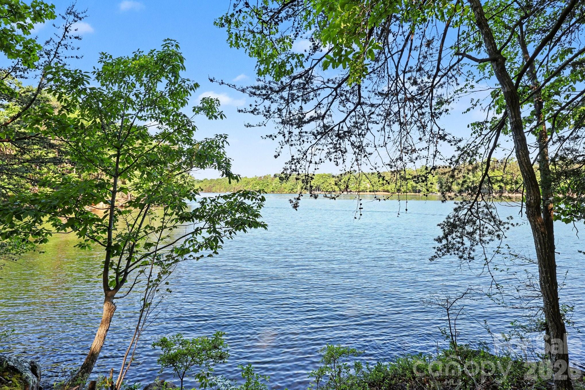 1629 Healing Springs Drive — Denton