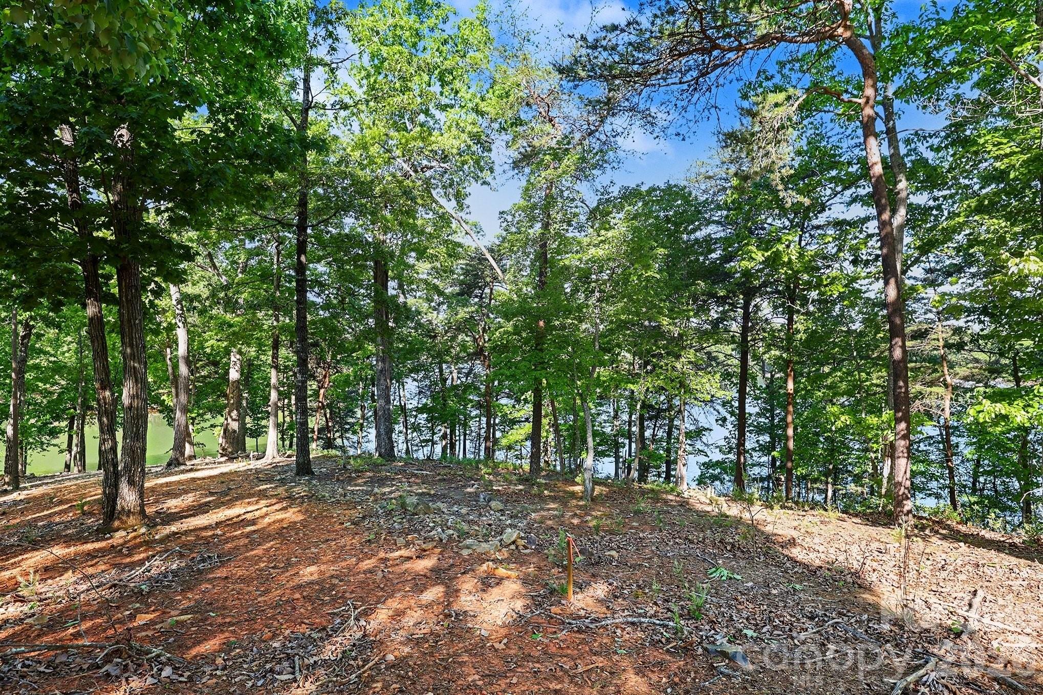 1629 Healing Springs Drive — Denton