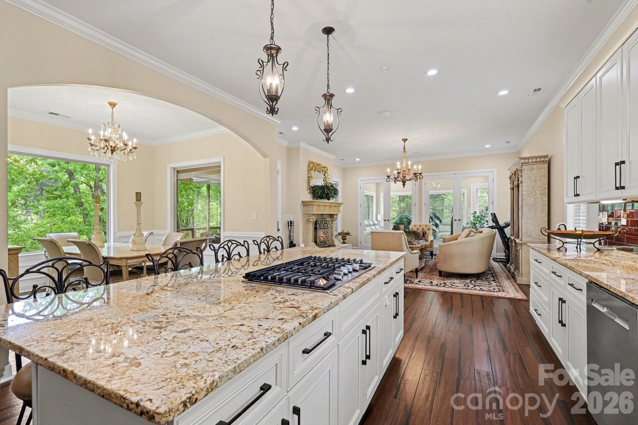 1629 Healing Springs Drive — Denton