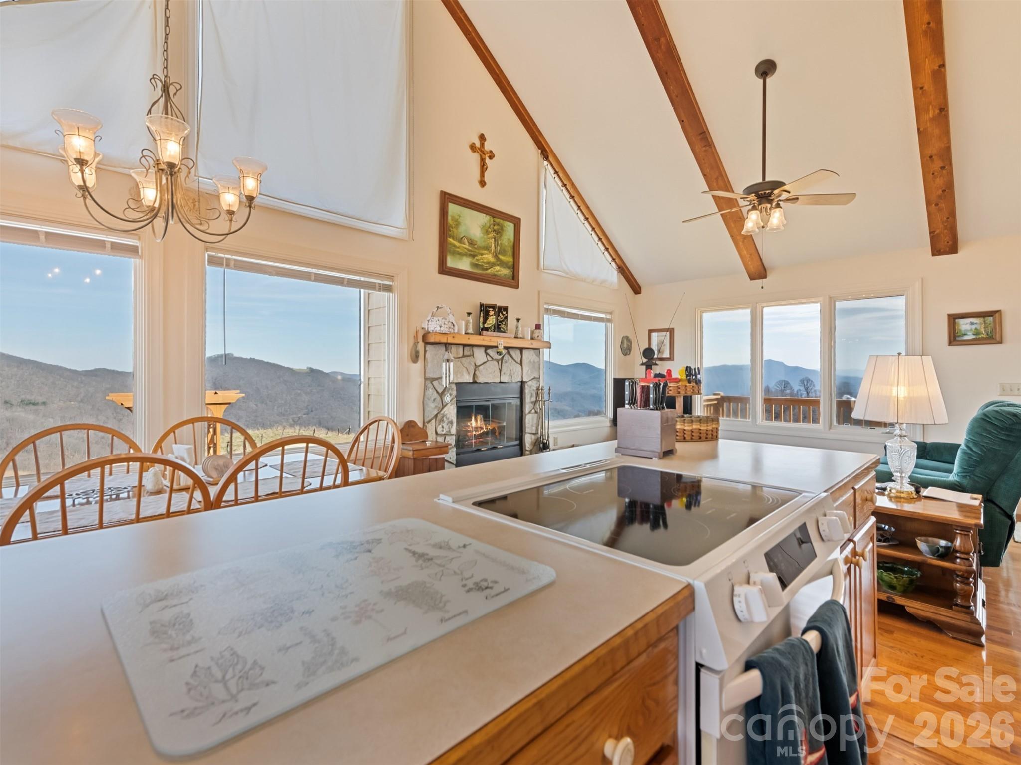 1007 Turkey Trot Road — Clyde