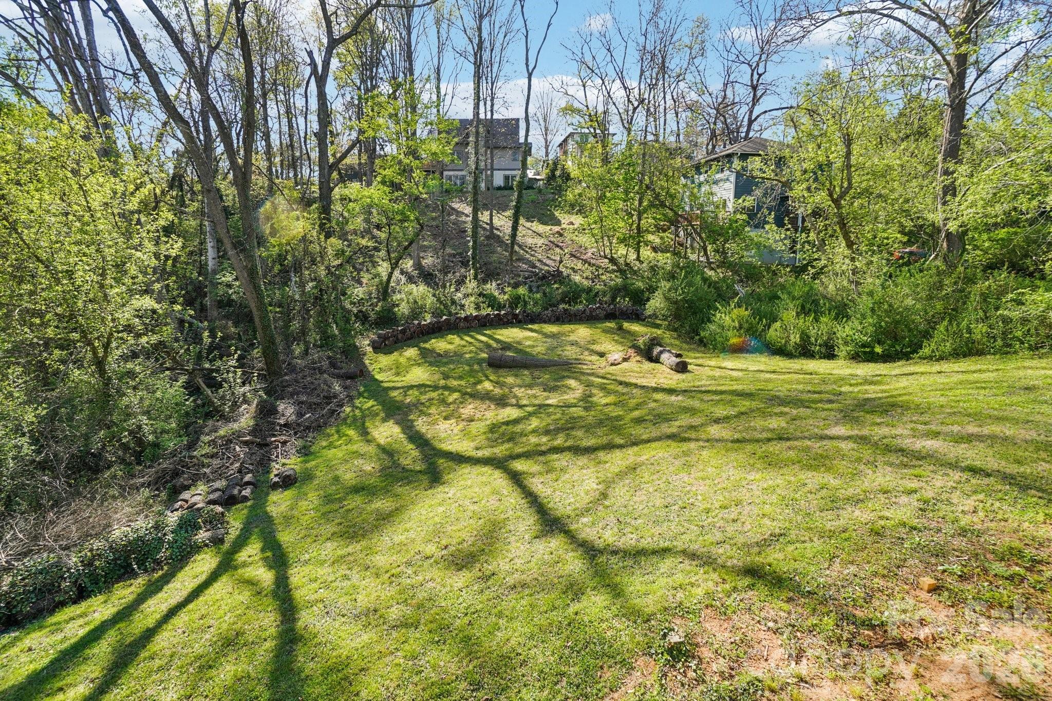 153 Hudson Street — Asheville
