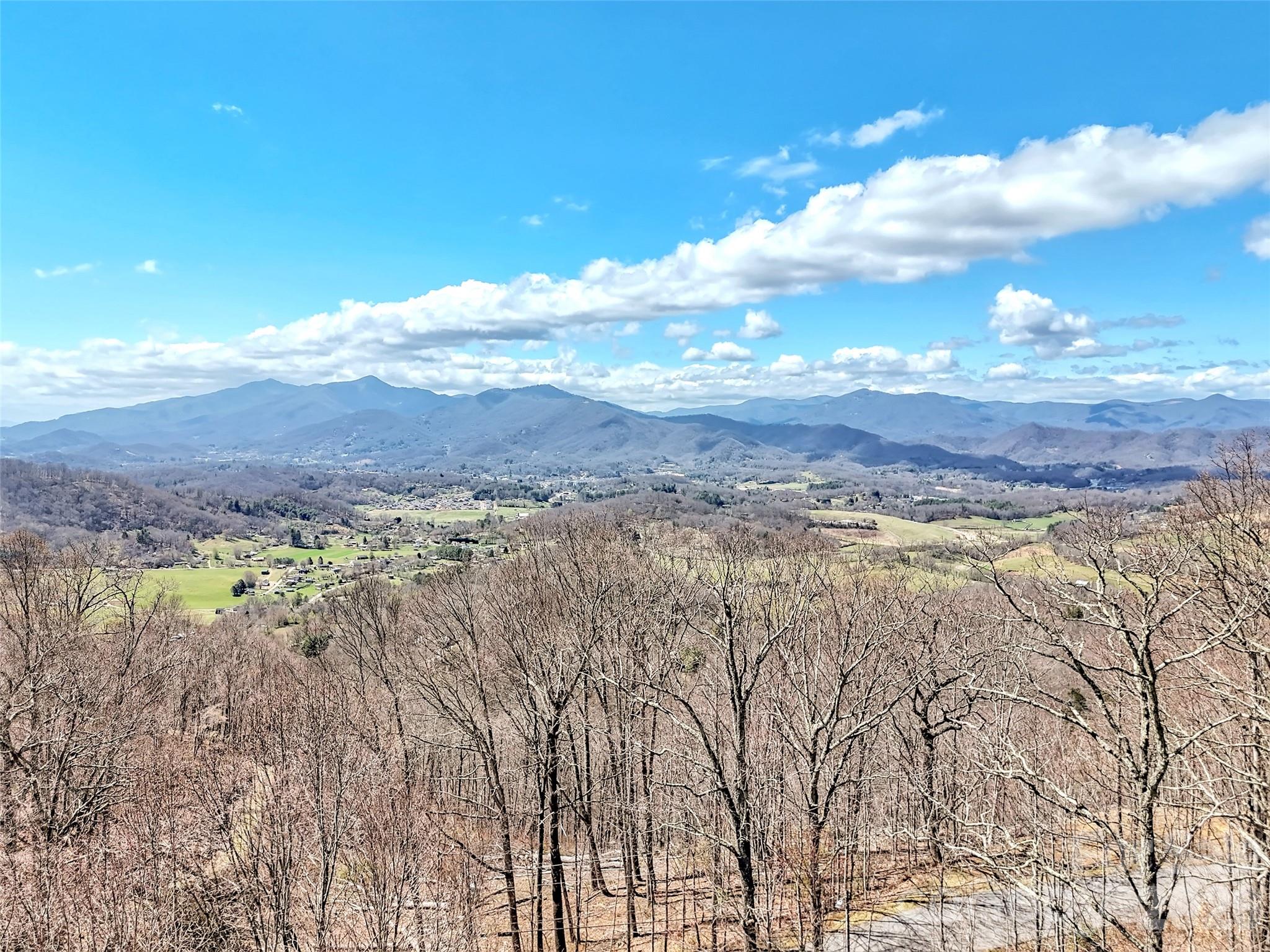 523 Brandywine Road — Waynesville