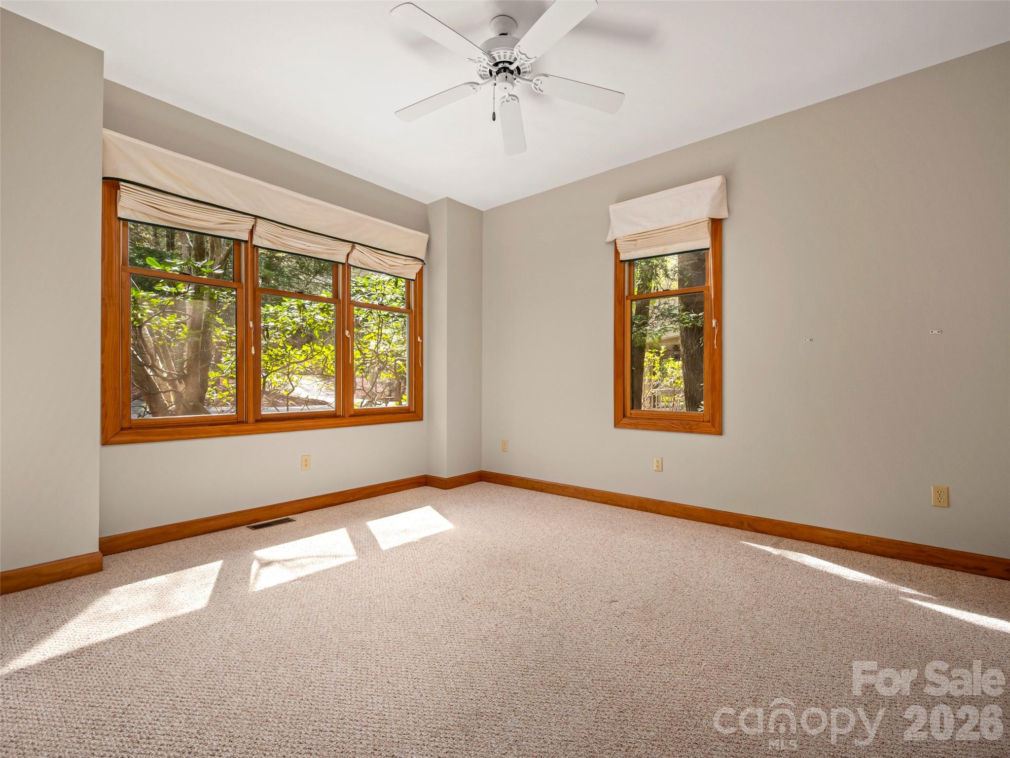 4 Wild Ivy Run — Hendersonville