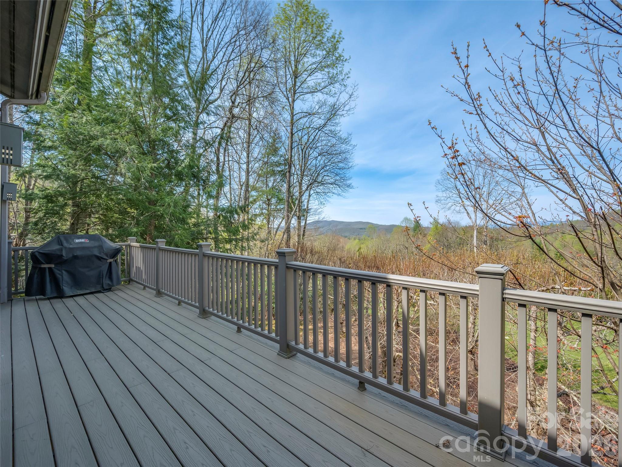 4 Wild Ivy Run — Hendersonville