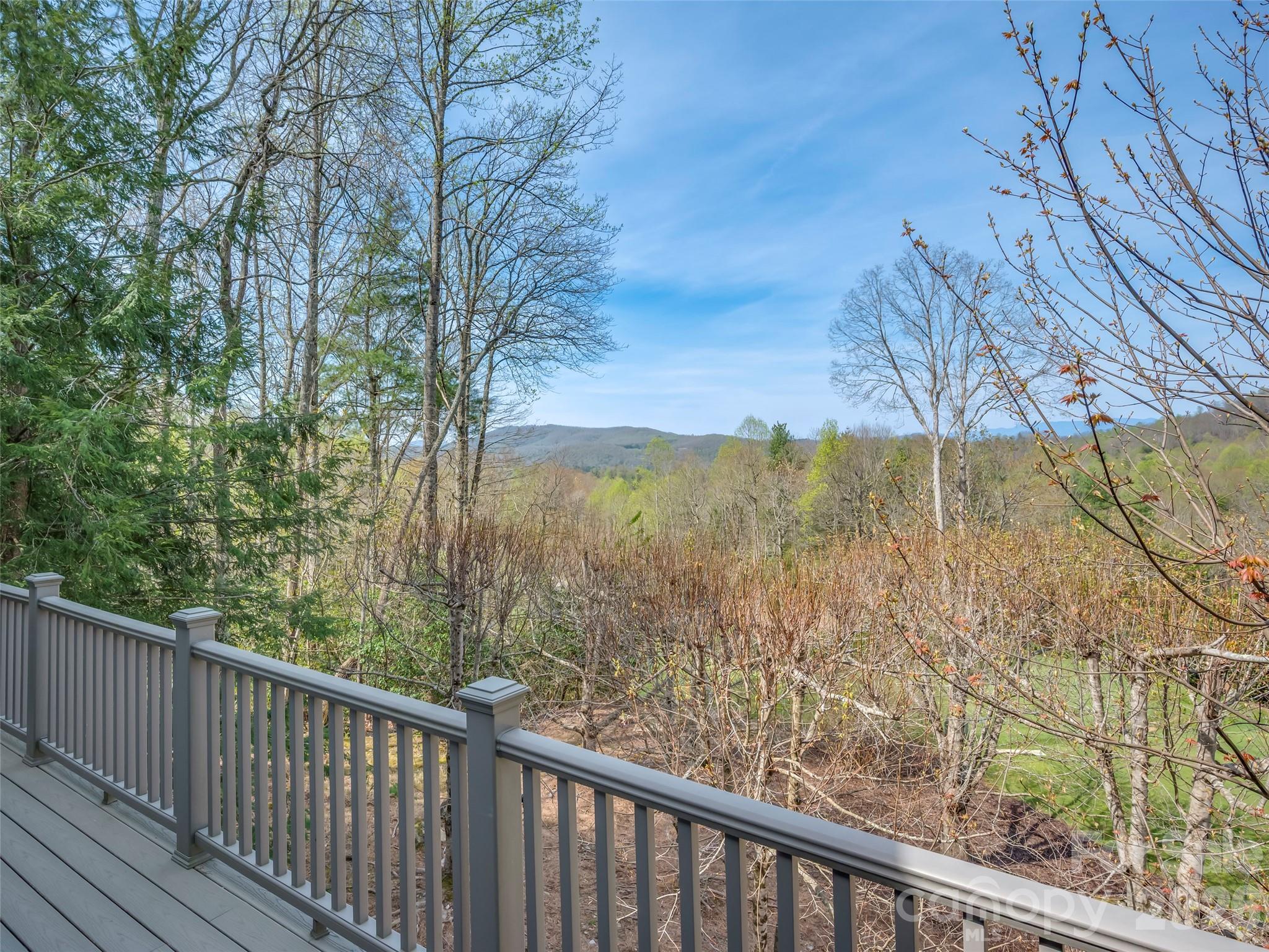 4 Wild Ivy Run — Hendersonville