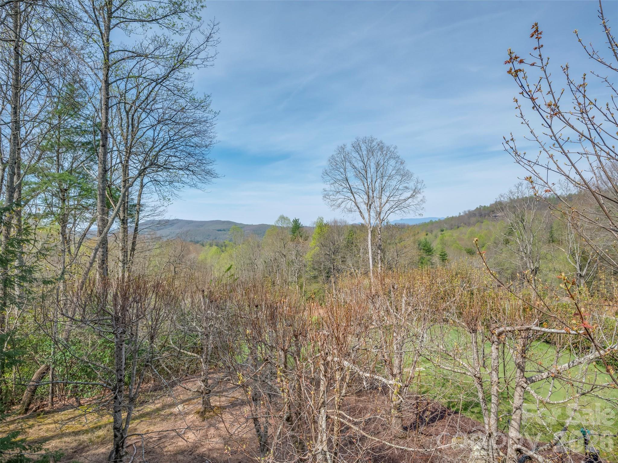 4 Wild Ivy Run — Hendersonville