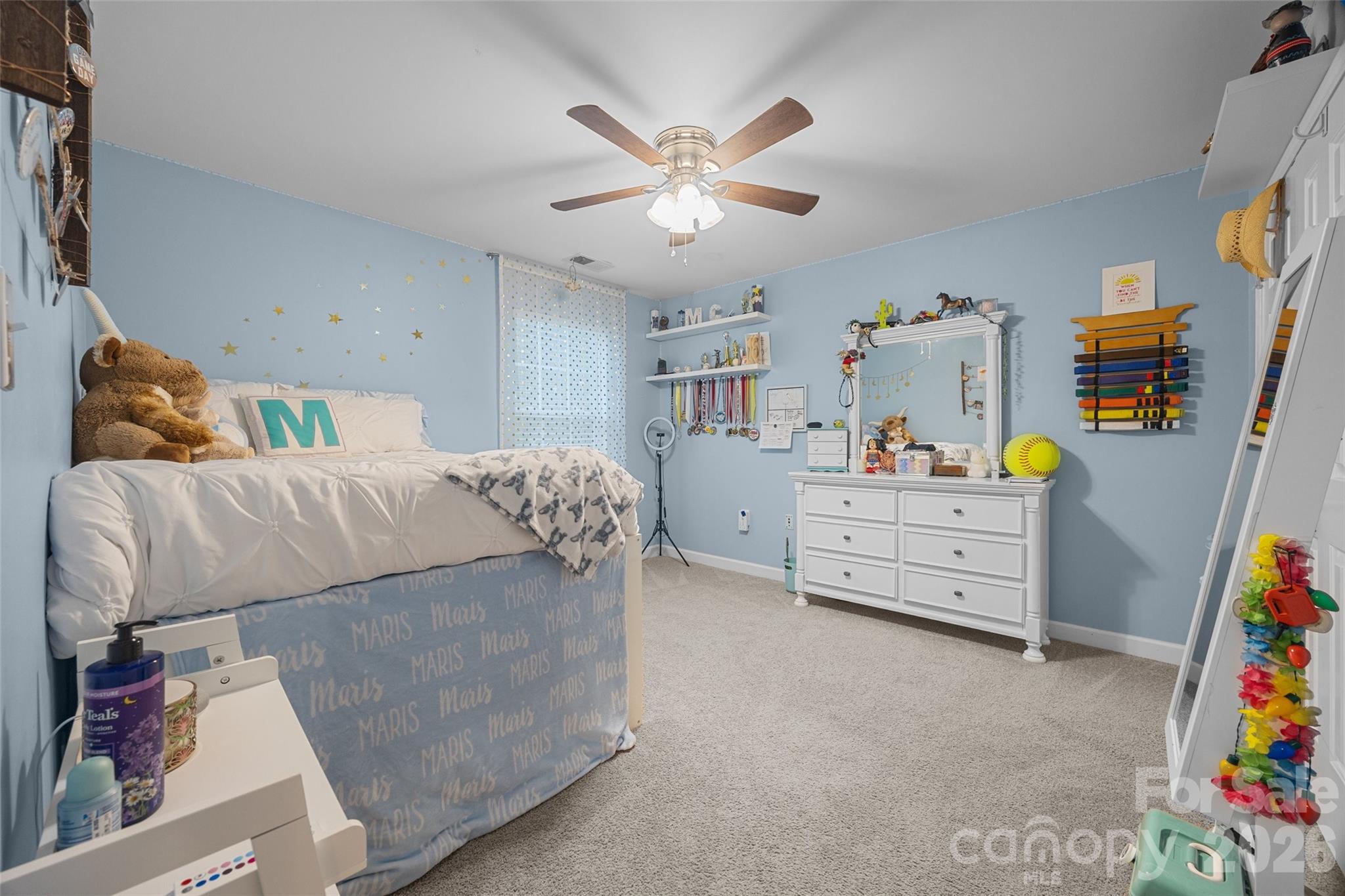 1206 Bottle Brush Lane — Harrisburg
