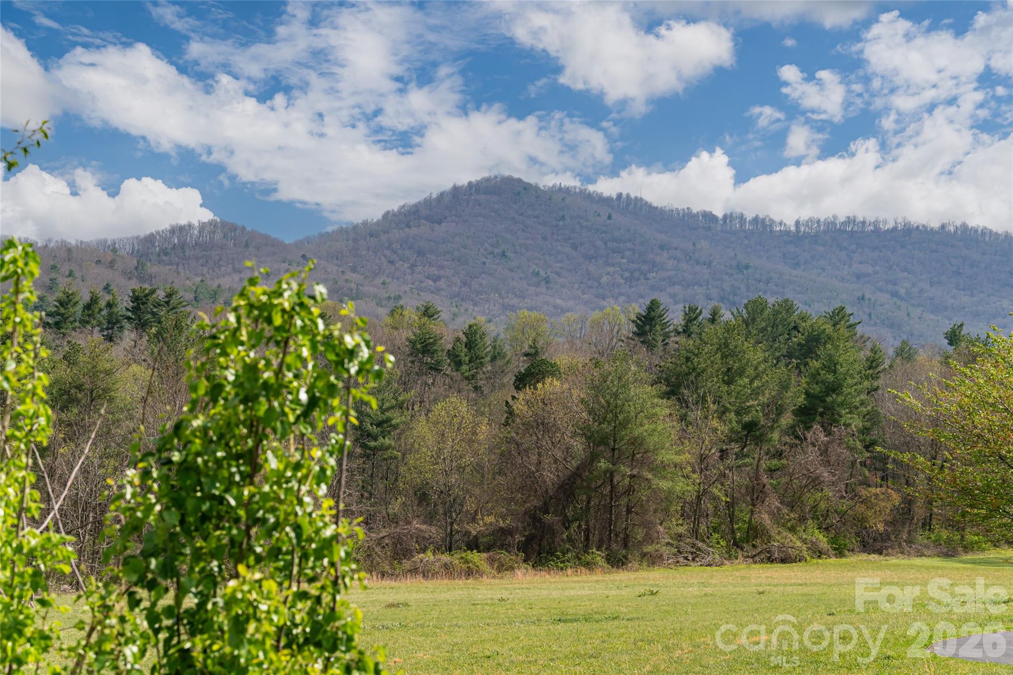 35 Alice Clement Lane — Asheville