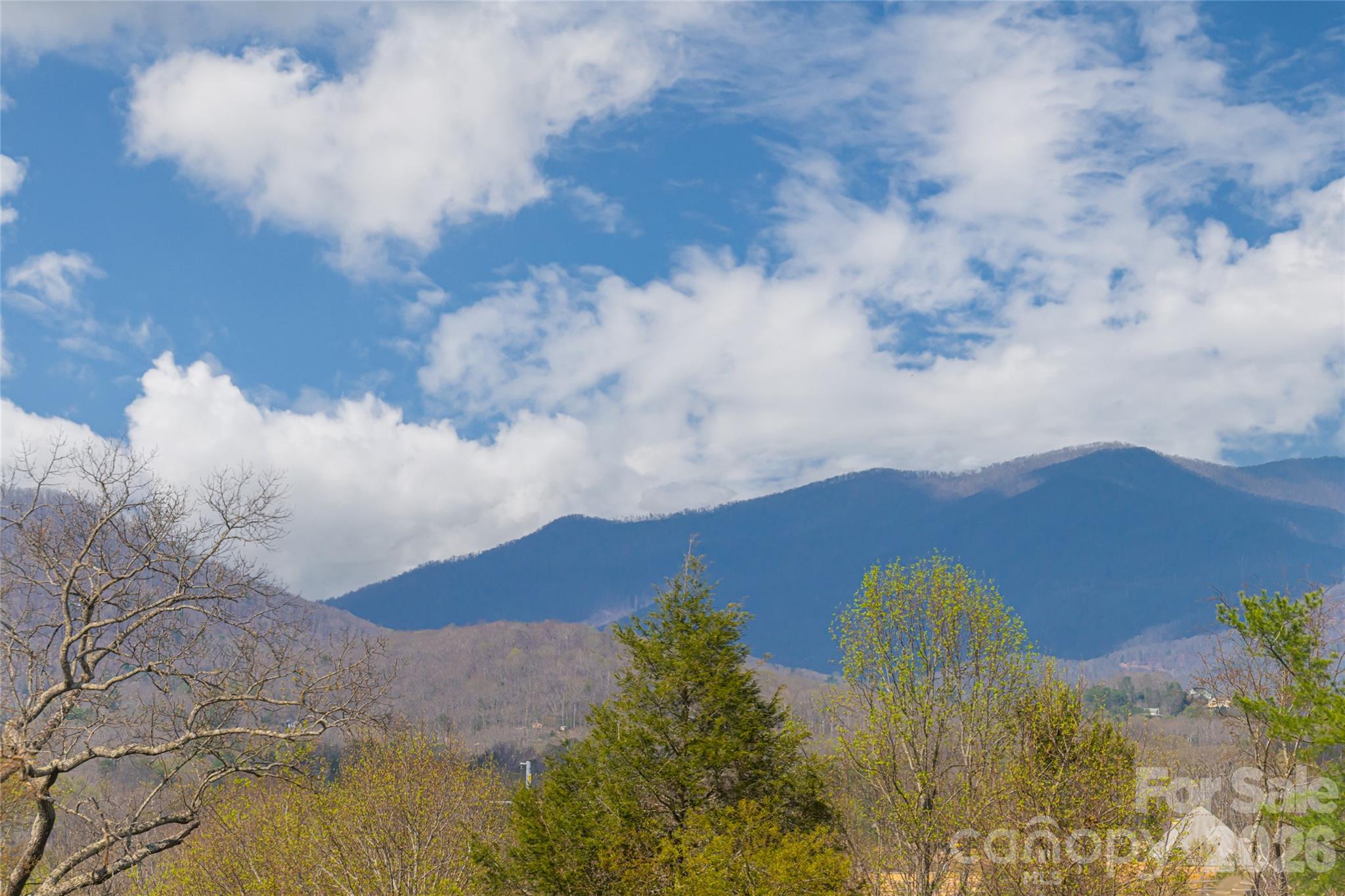 35 Alice Clement Lane — Asheville
