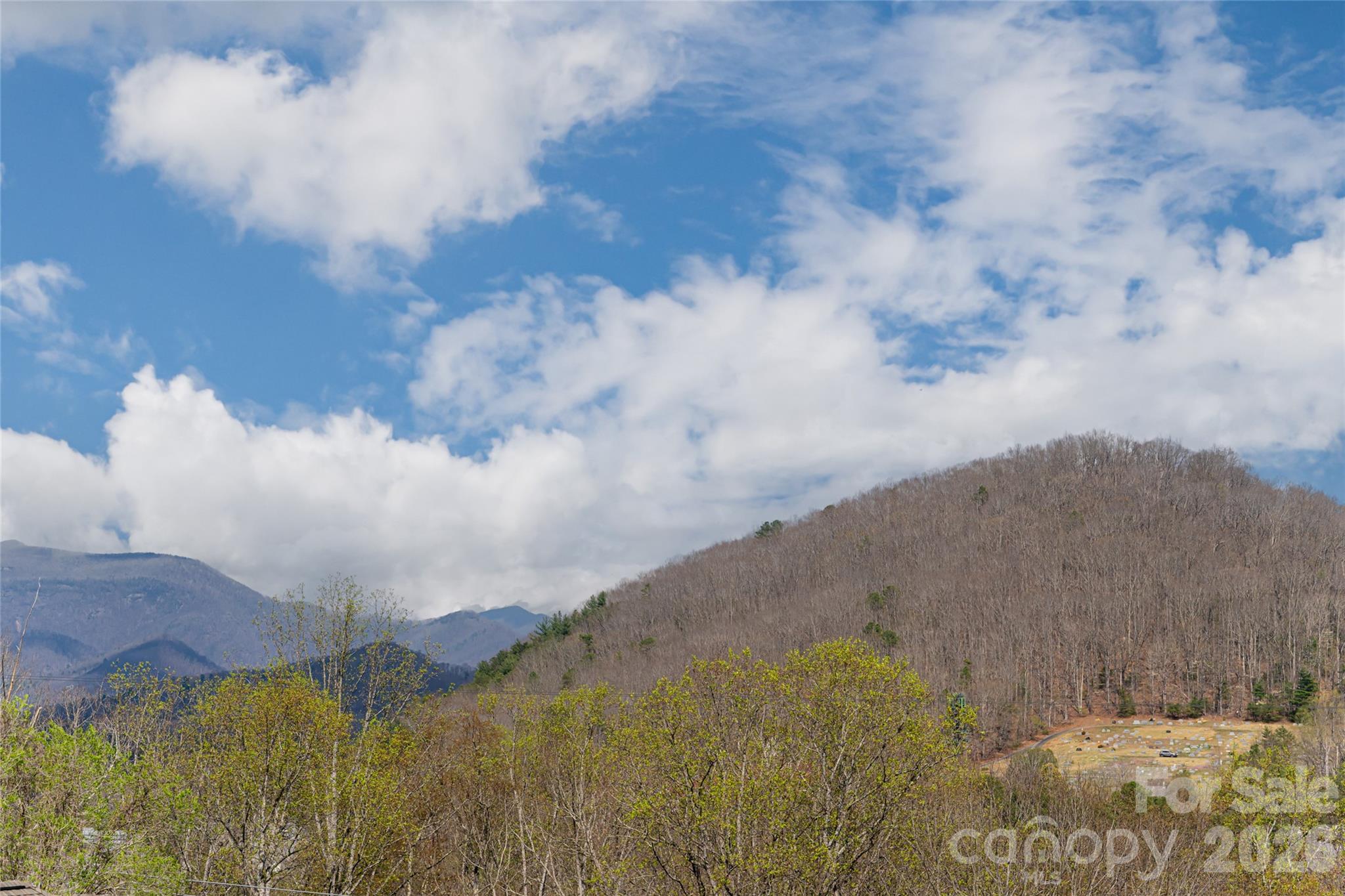 35 Alice Clement Lane — Asheville