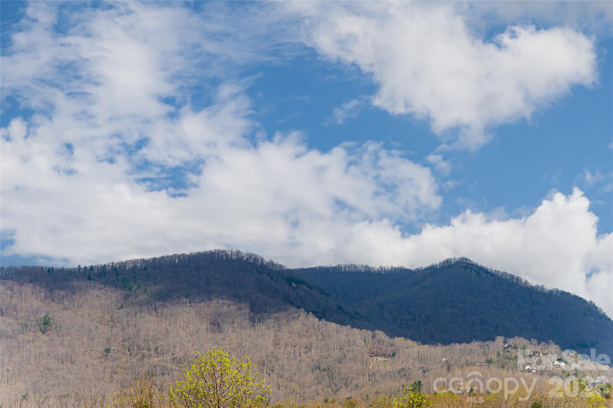 35 Alice Clement Lane — Asheville