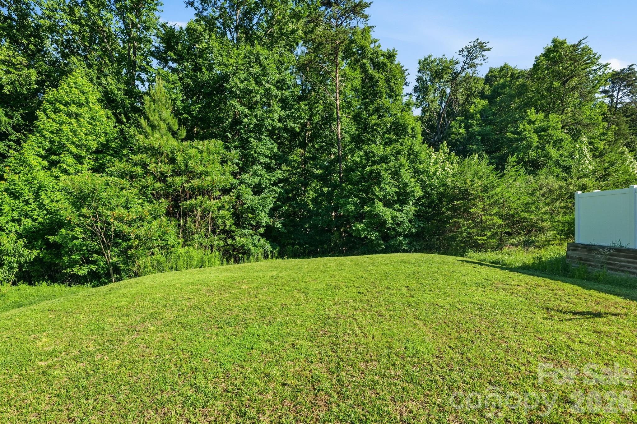 3341 Linetender Drive — Davidson