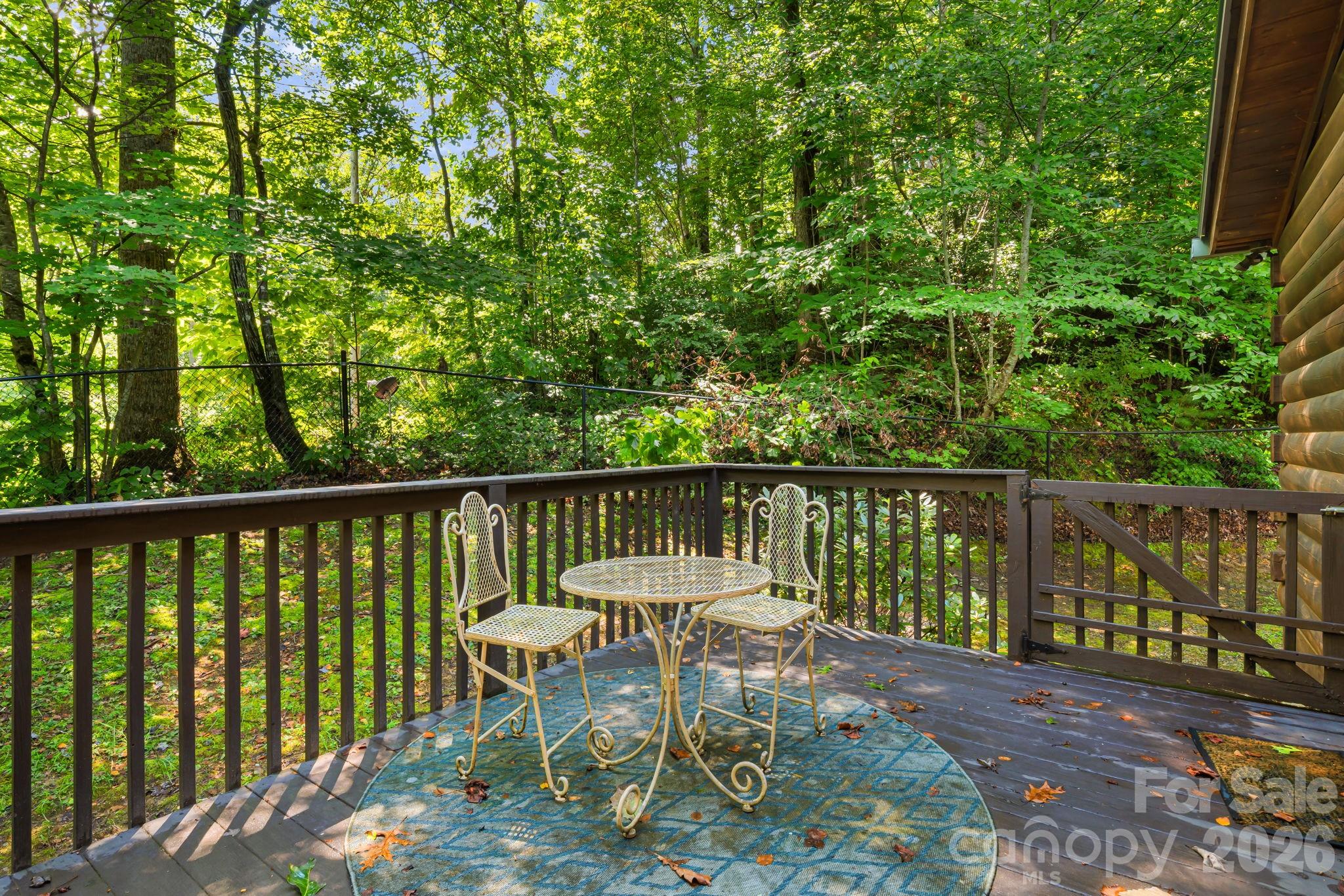 898 Morgan Hill Road — Black Mountain