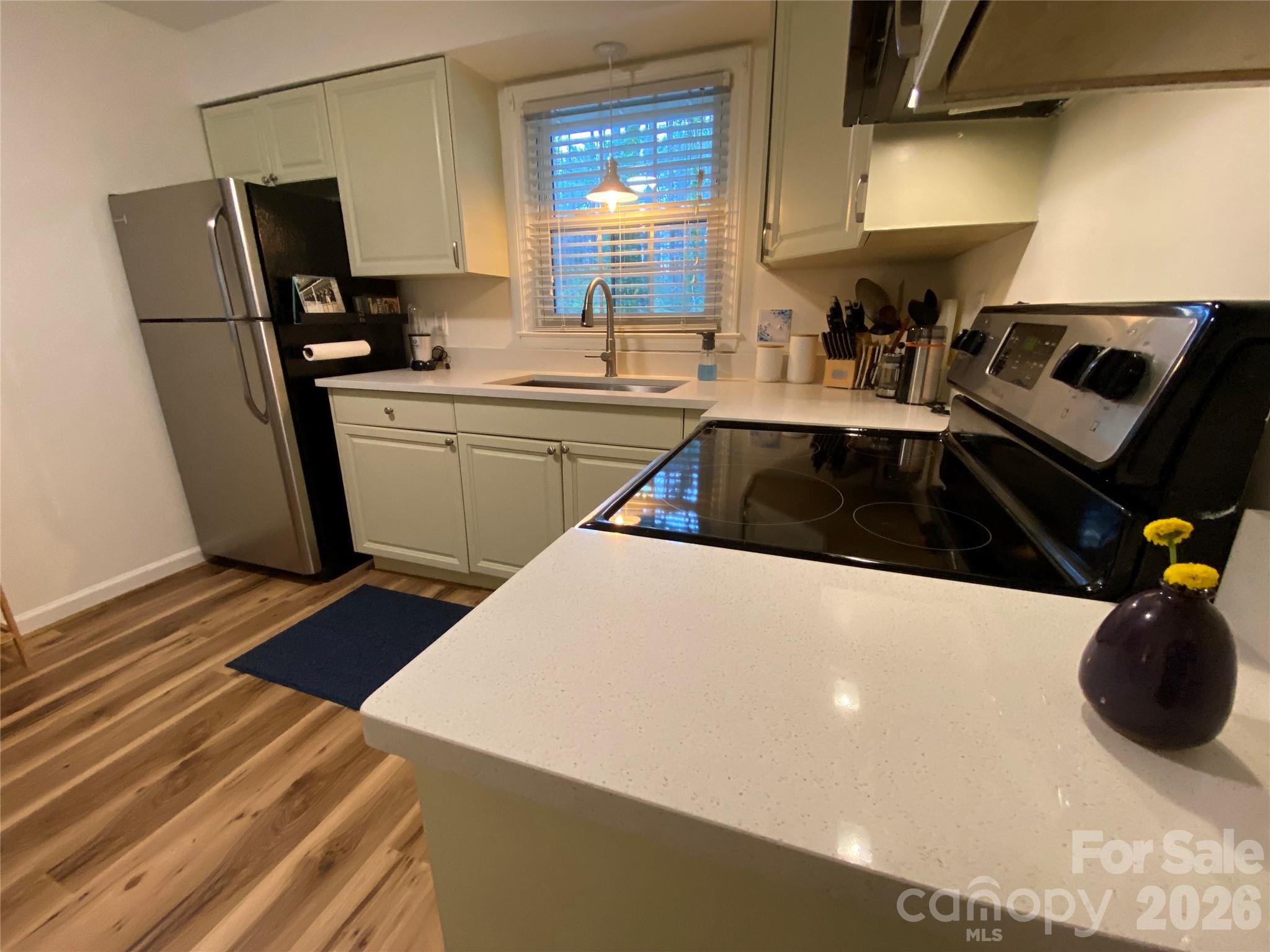 101 Boyd Drive #2C — Flat Rock