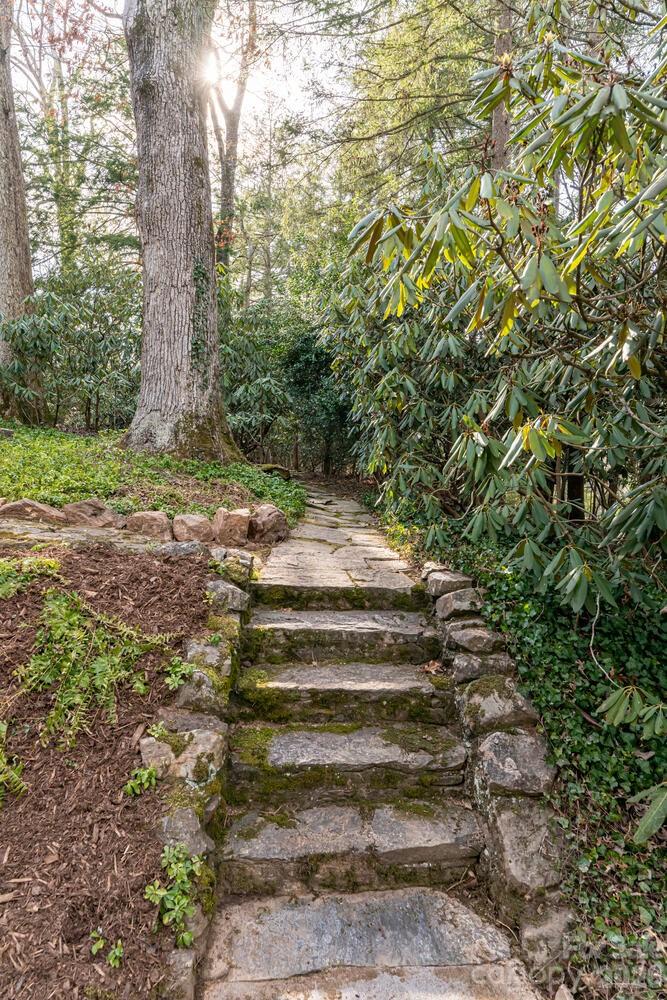 407 Vanderbilt Road — Asheville